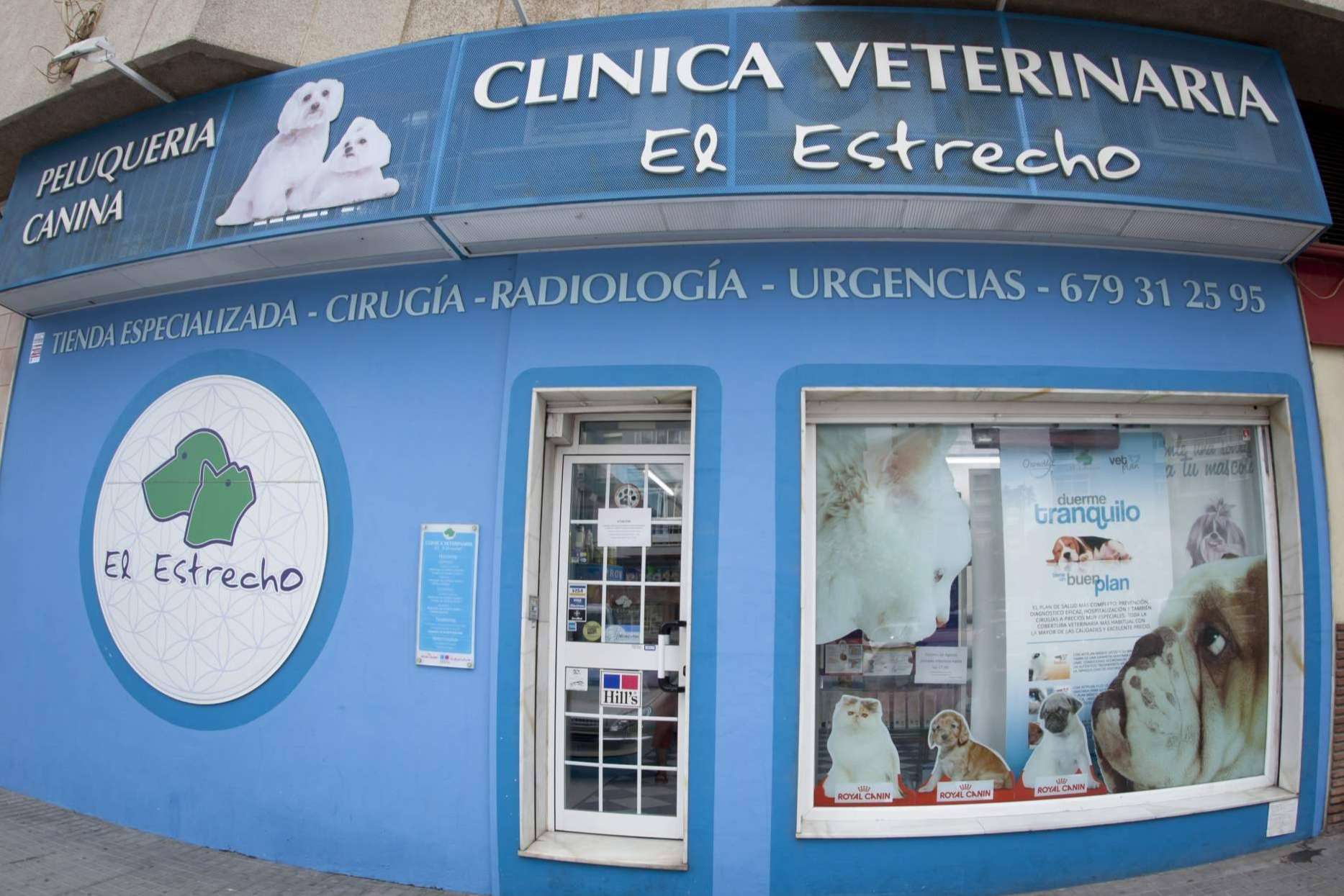 Terapias que aplican ozono, en el centro veterinario El Estrecho