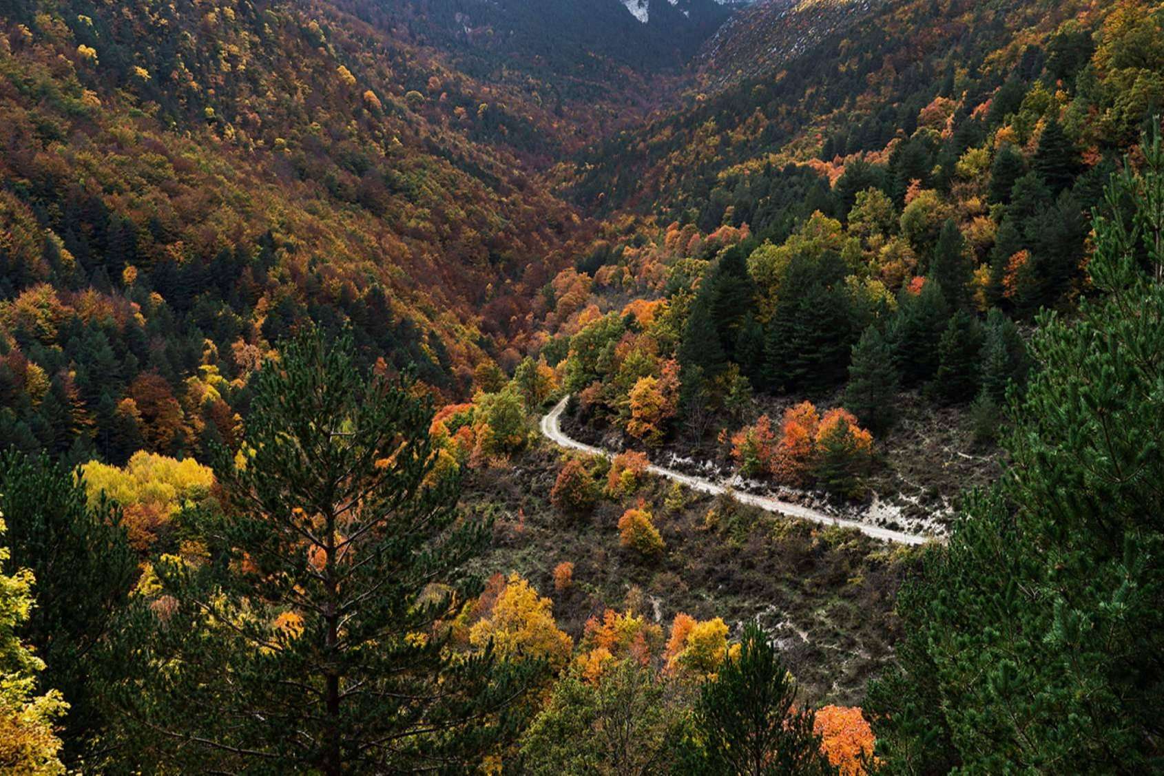 Camping Repòs del Pedraforca para pasar el otoño