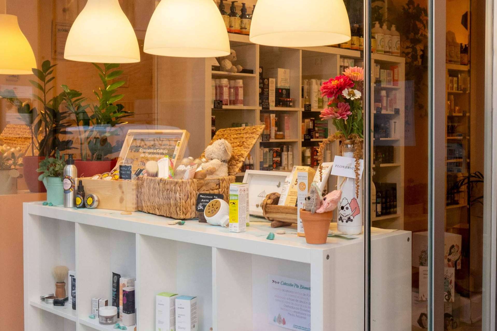 Primera tienda física de Biomelisa en pleno Centro Histórico de Zaragoza