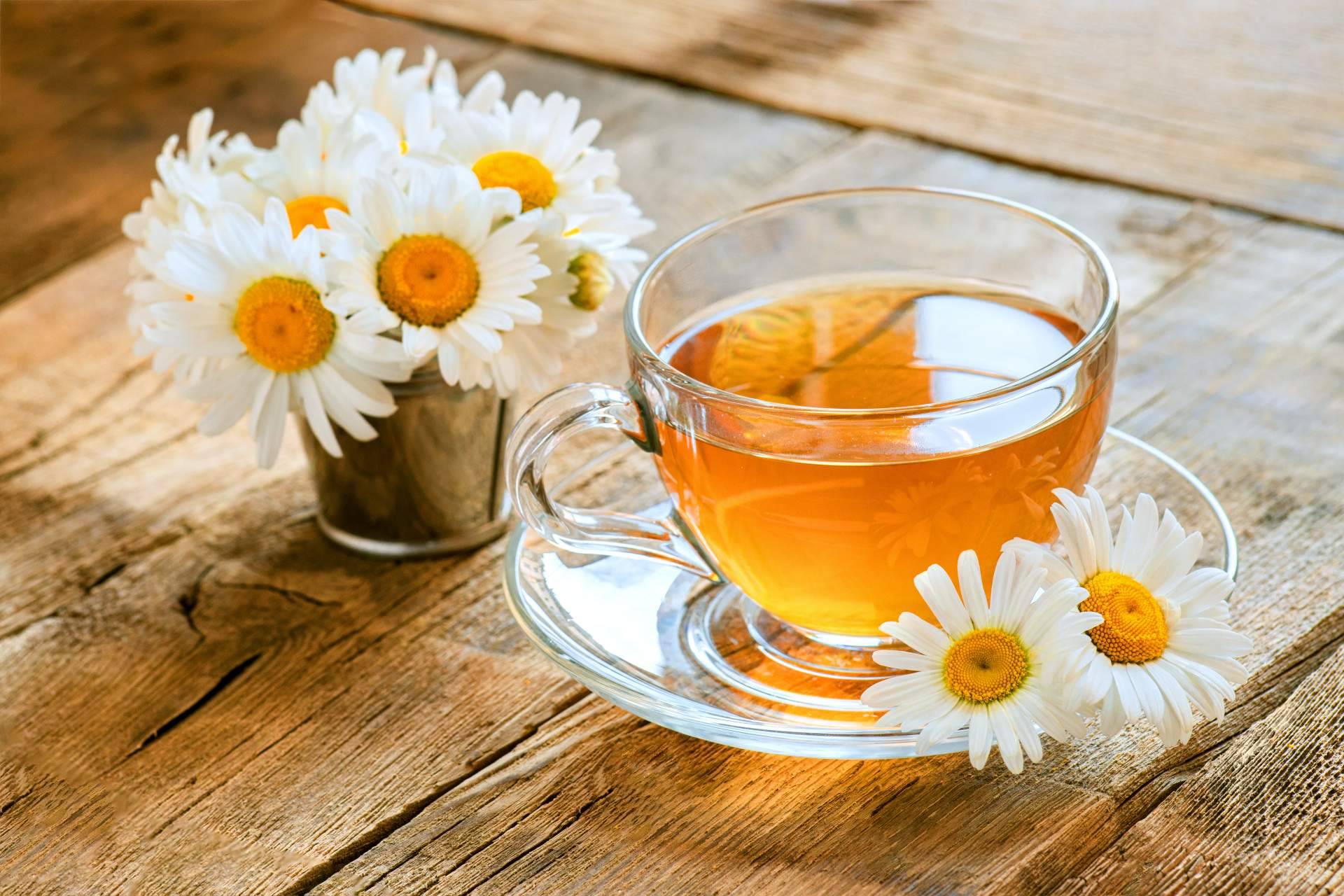 Ledma Café y Té destaca los beneficios de las infusiones naturales y las tisanas