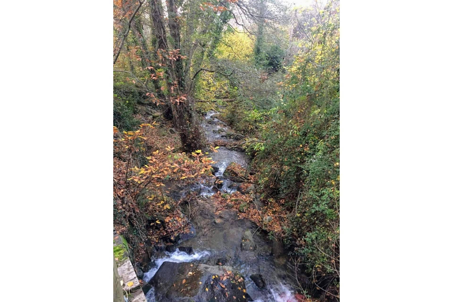 Vive Baños de Montemayor, un espacio para celebrar el Otoño Mágico