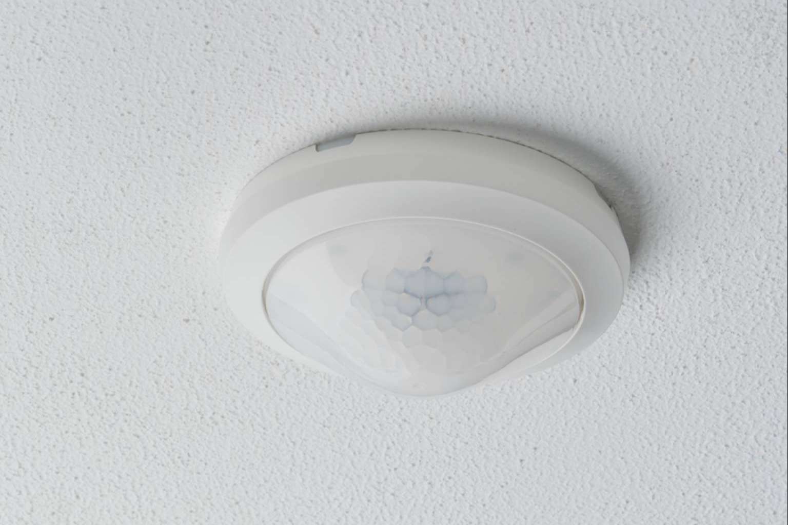 Un caso de éxito de Guijarro Hermanos, la nave CECOTEC en Valencia