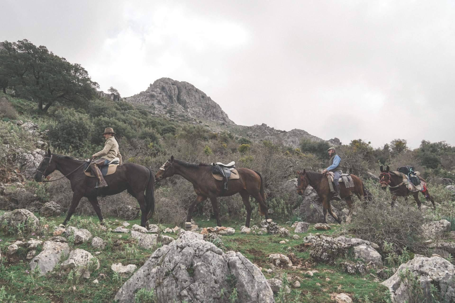 Maktub Bohemian Rides expone los beneficios que ofrece hacer paseos en caballo
