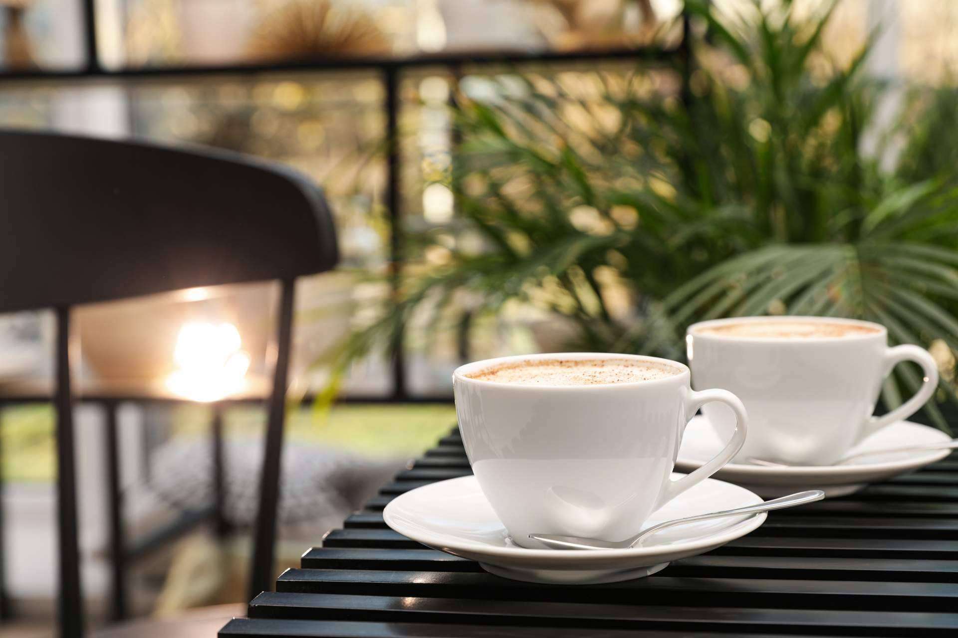 Disfrutar de todo el sabor del café importado de Vietnam con Cafés Legend