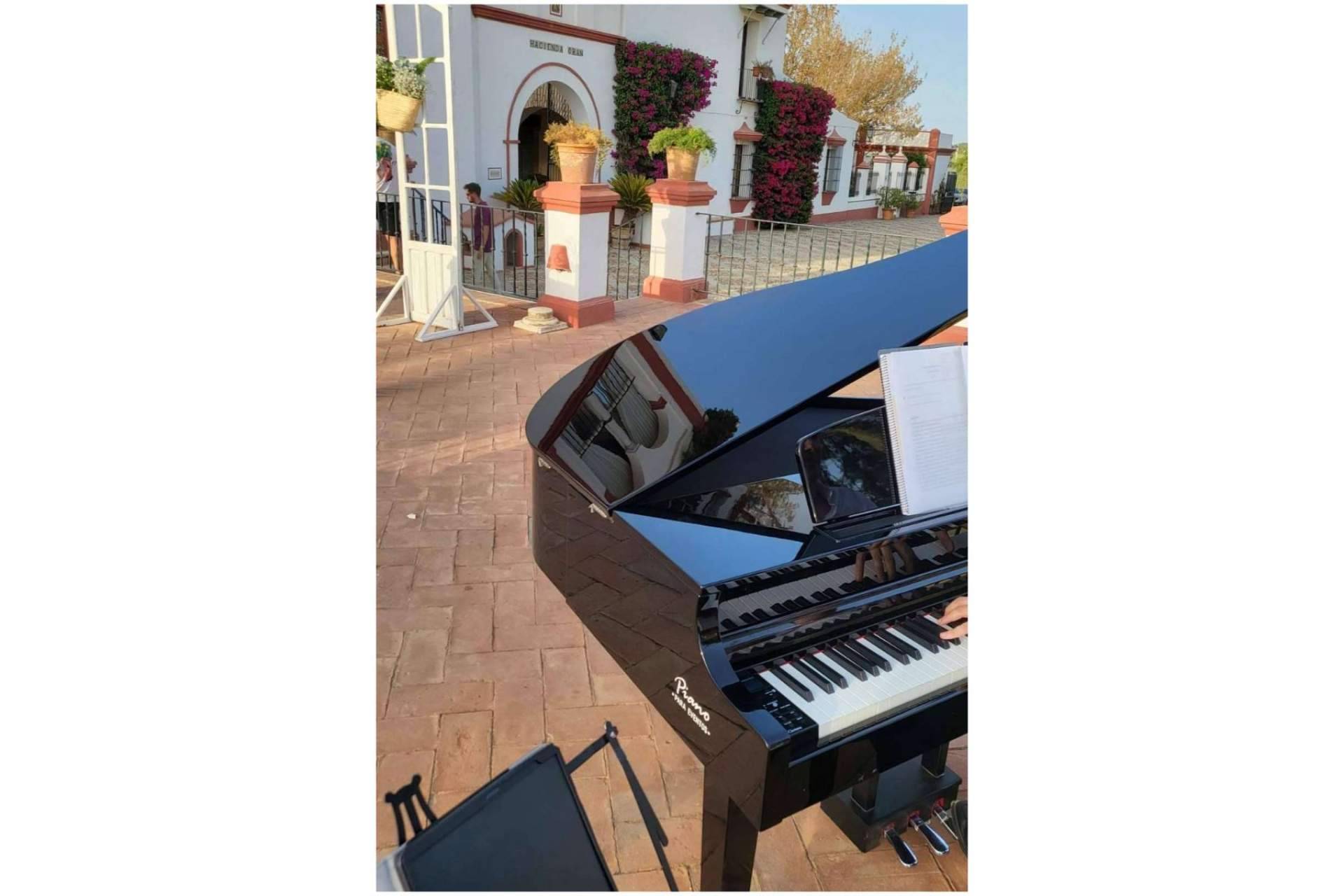 Playlist del pianista Carlos López Arregui de música piano en Piano Para Eventos