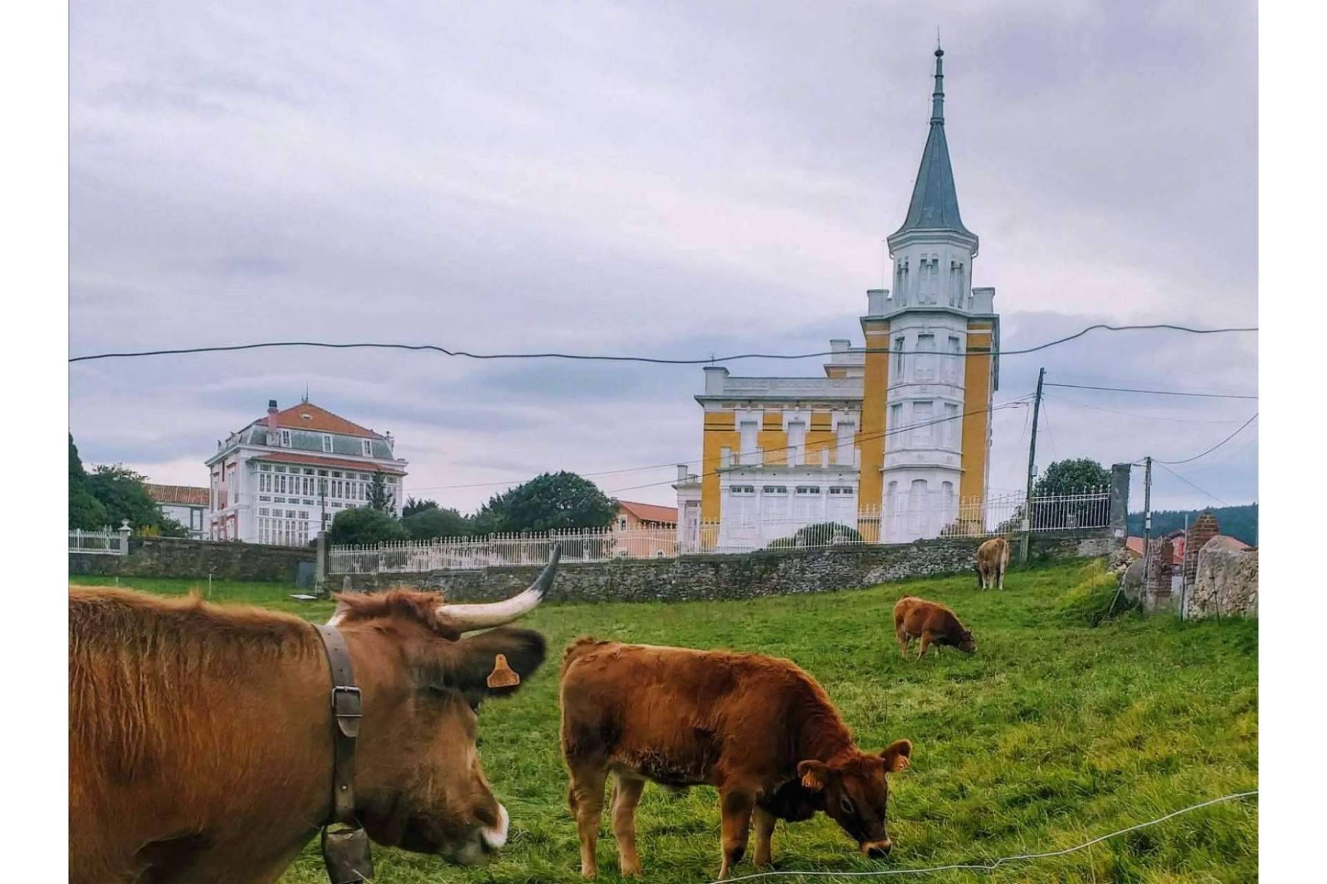 Razones para visitar Asturias y alojarse en el Hotel Rural MonteSomao
