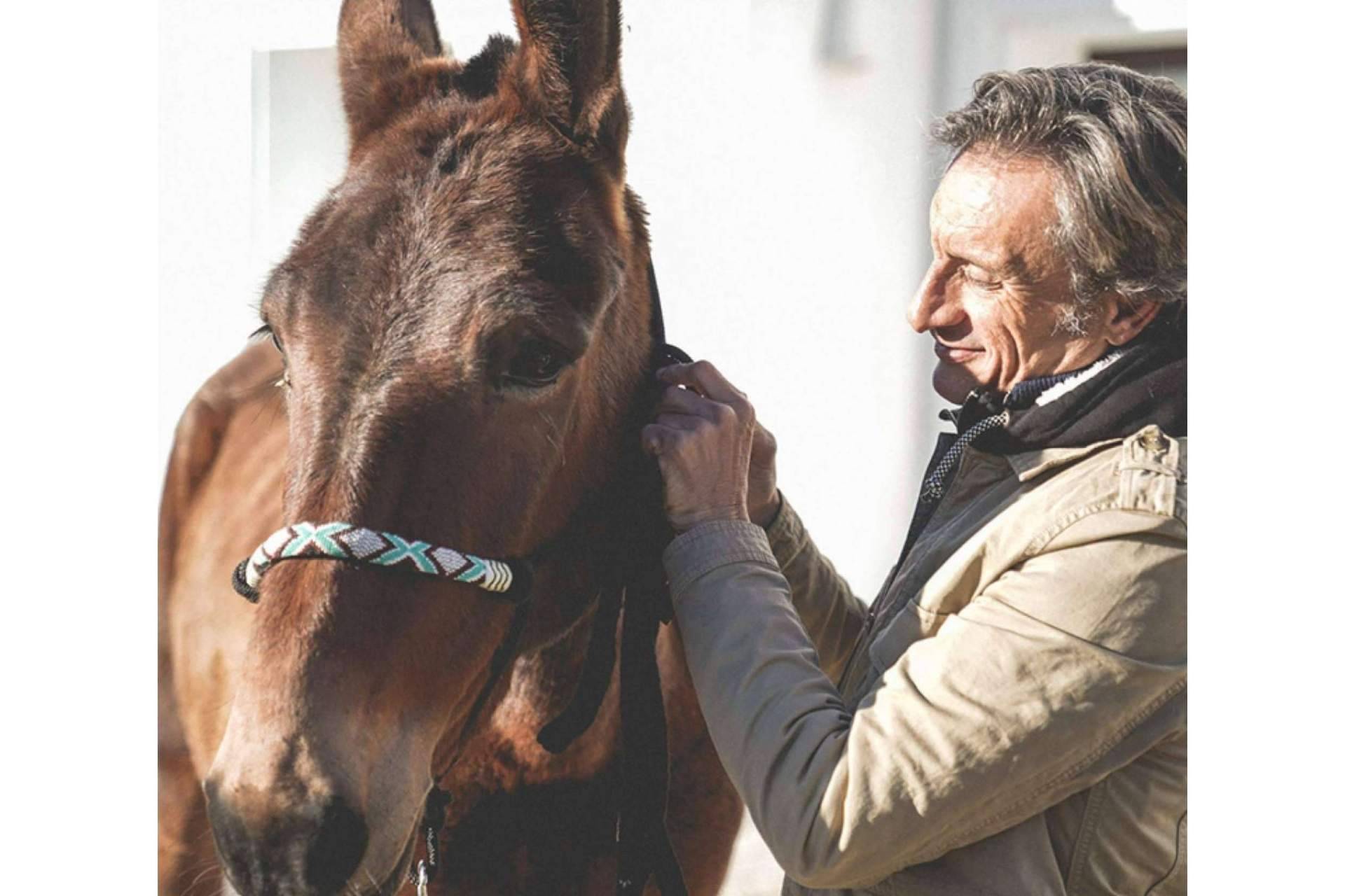 Maktub Bohemian Rides expone los beneficios físicos y mentales de pasear a caballo