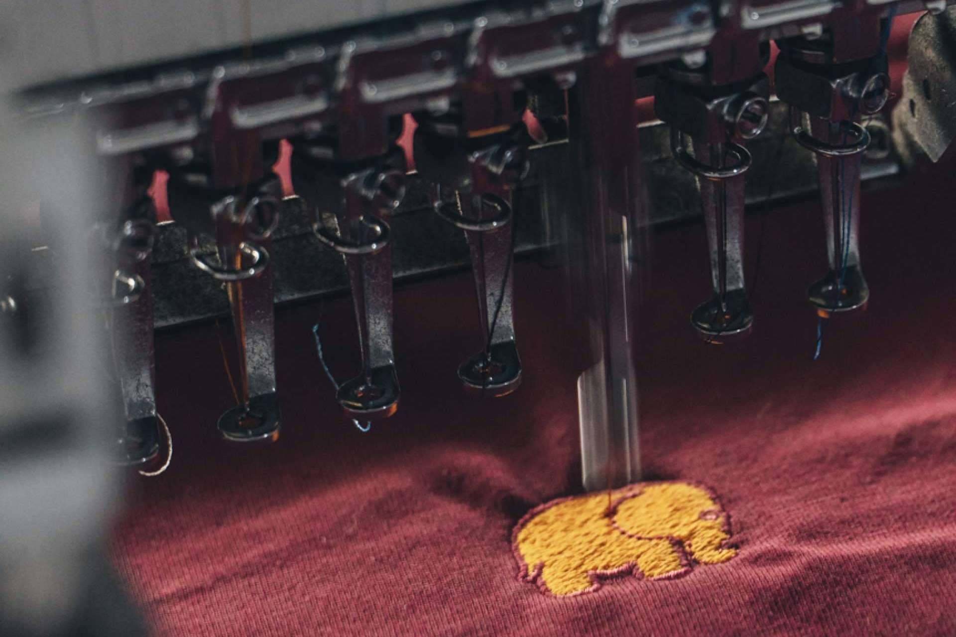 La firma de moda que hace las cosas diferentes, Trendsplant