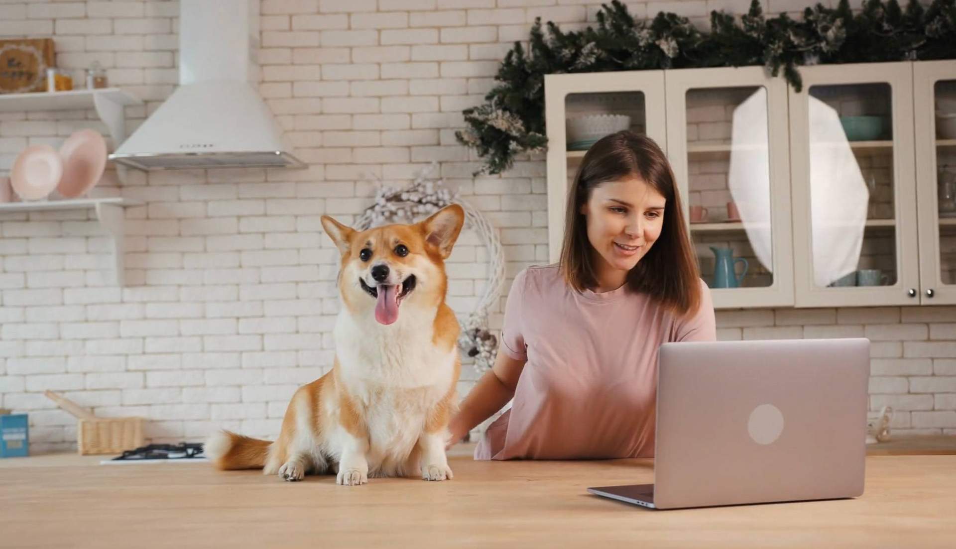 Según Wolves Legacy, 'Buscamos una agencia de marketing con experiencia y completa, y la encontramos'