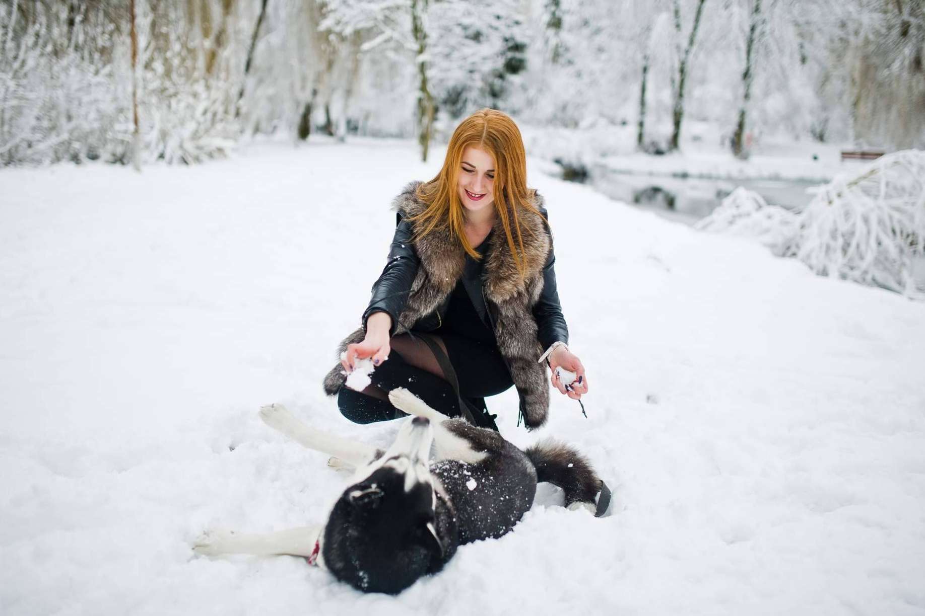 Los cuidados que requieren los perros de cara al invierno, con LovePets