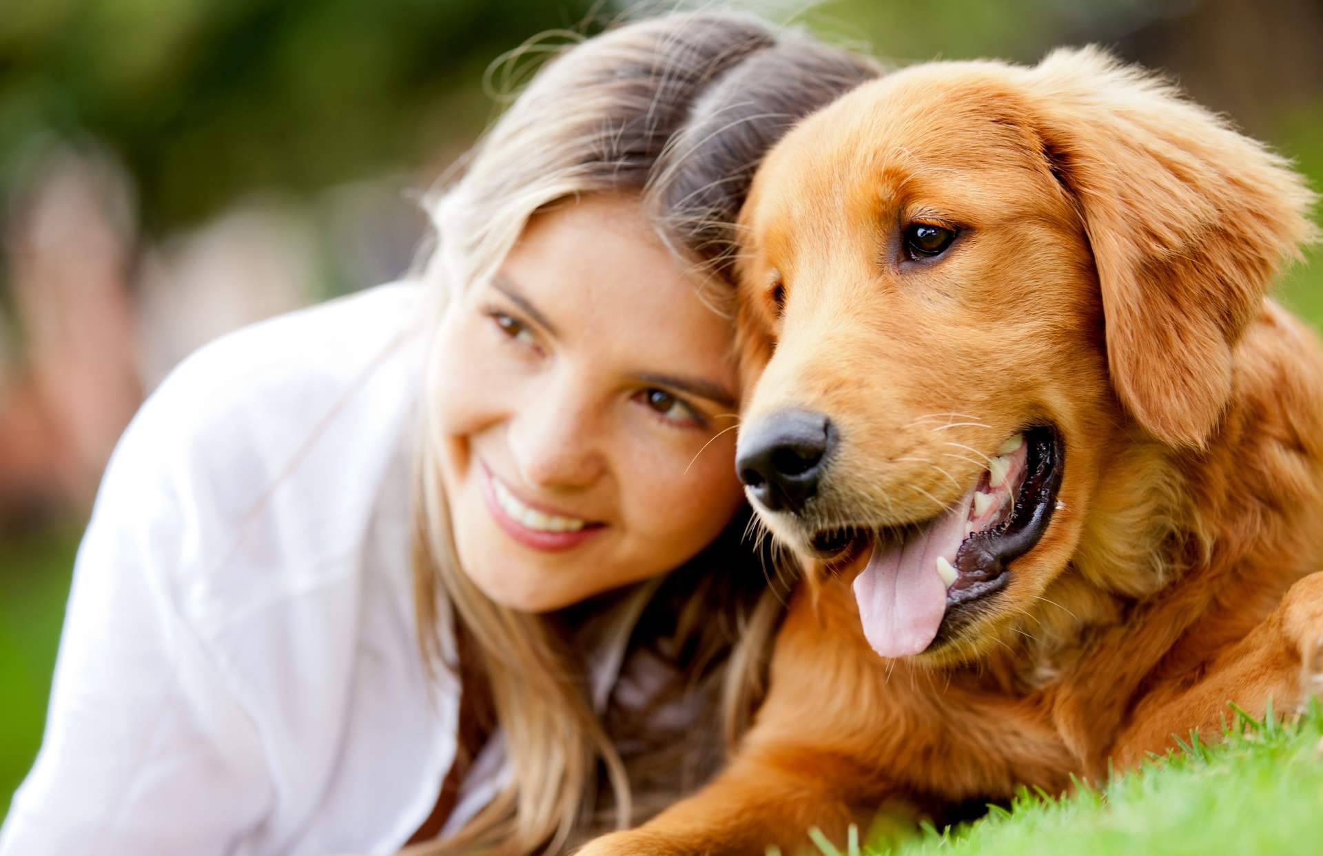 Los piensos para perros y gatos con harina de insectos son respetuosos con el medioambiente
