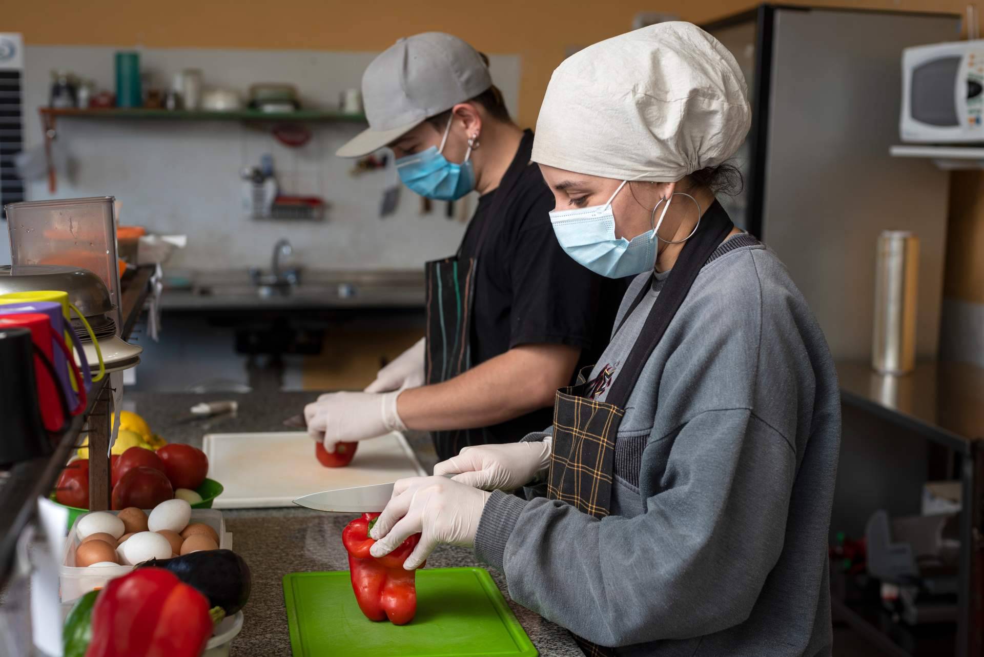 Damito - Tecnas y la posibilidad de realizar de forma gratuita el curso de manipulador de alimentos
