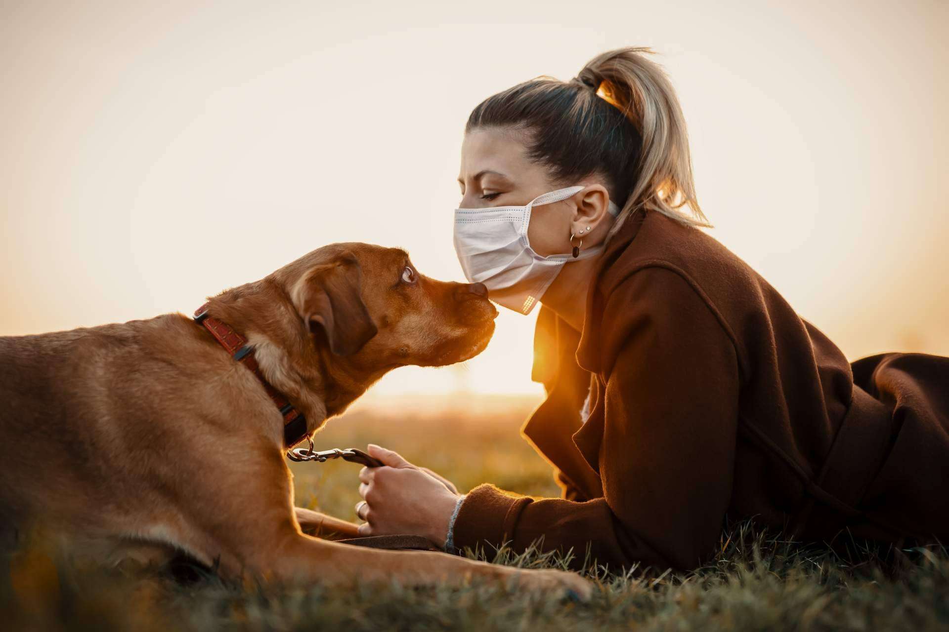 Aboganimal explica cómo convertirse en un referente de la protección animal