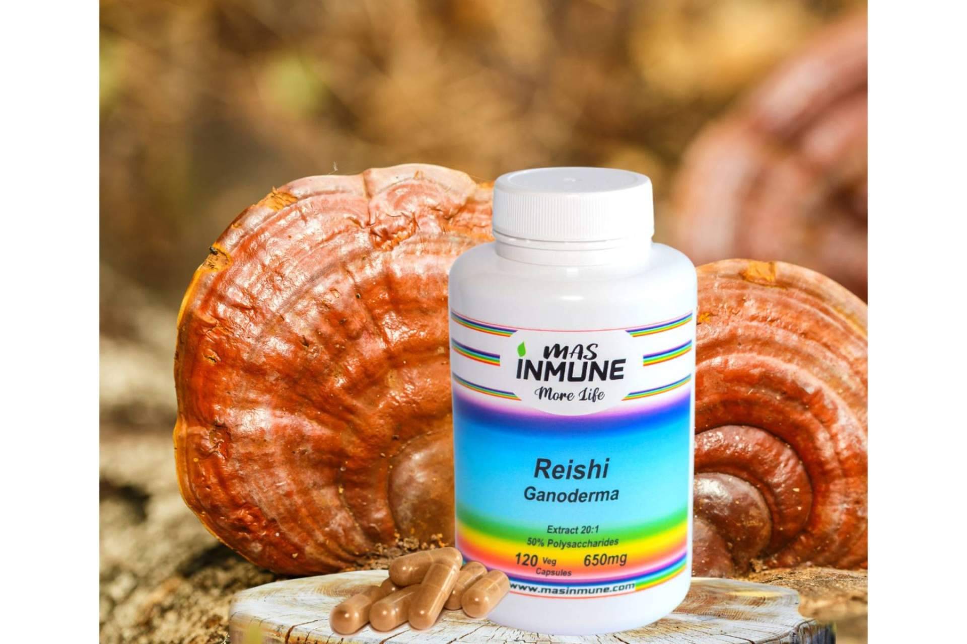 La marca Masinmune produce uno de los mejores Reishi Ganoderma de Europa