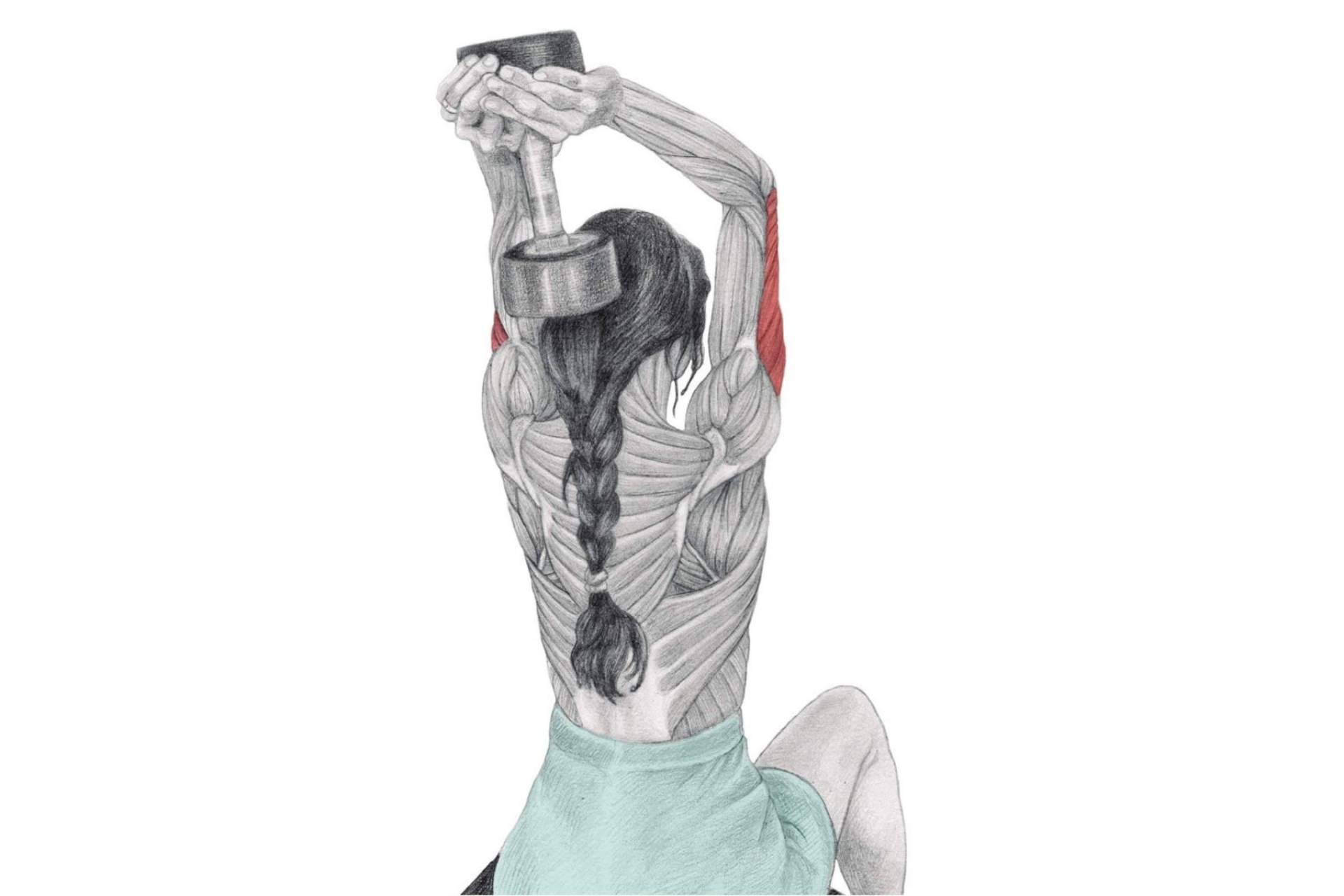 Un referente a nivel mundial, la enciclopedia de musculación de Óscar Morán