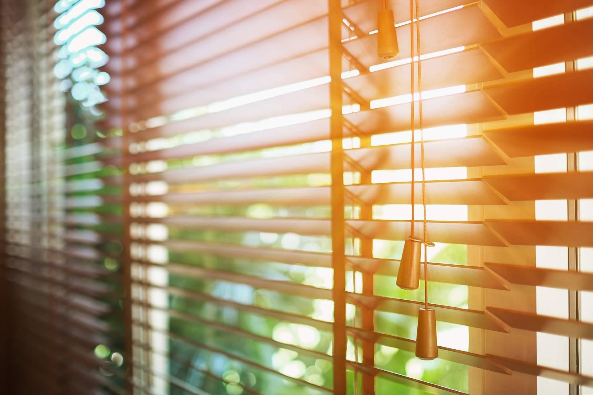 ¿Cuáles son los principales beneficios de las persianas alicantinas de PVC? Mosquiteras Baratas