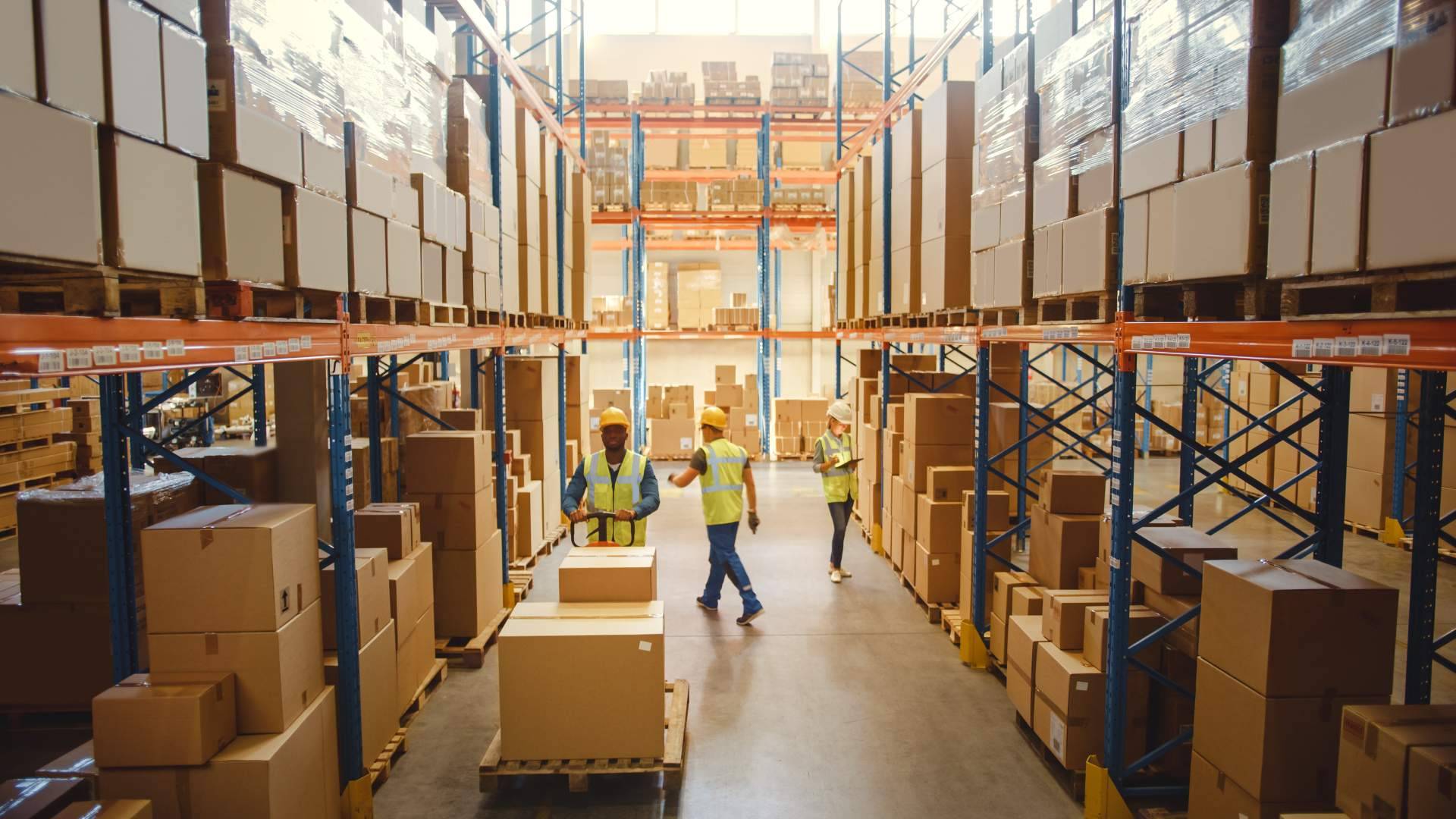 Servicios logísticos y almacenaje de la mano de Terra Logistika