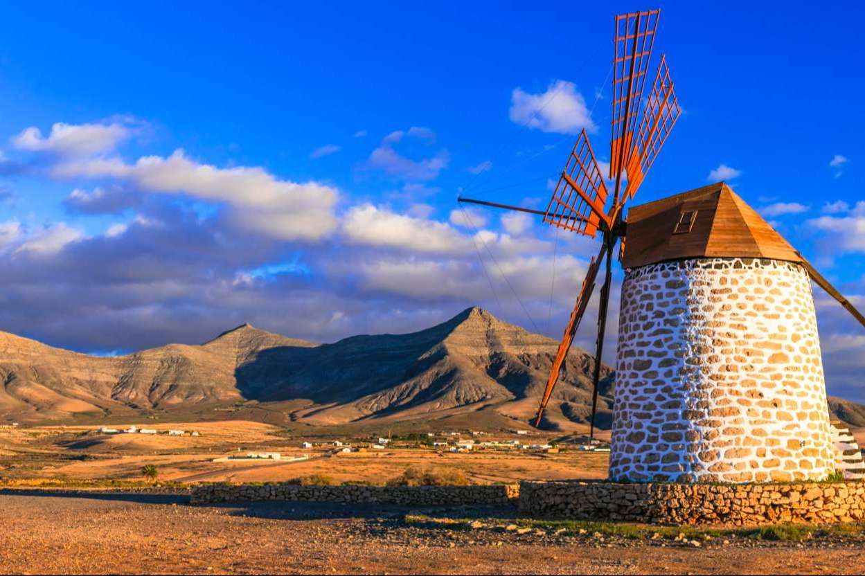 Mudanzas Moreno ofrece servicios de mudanzas para aquellos que desean teletrabajar en Fuerteventura