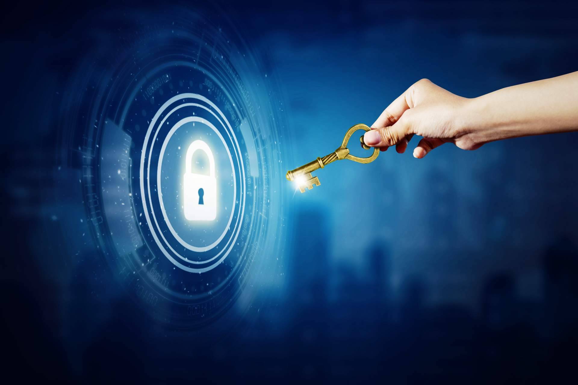 Lex Program, empresa especialista en soluciones de ciberseguridad