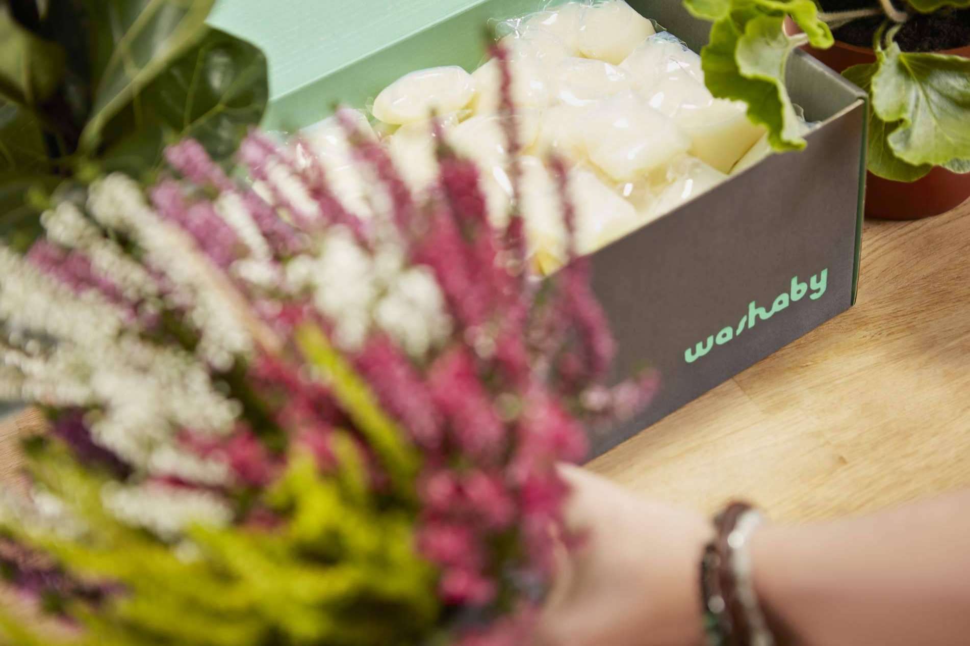 Pasarse al lavado eco con el detergente ecológico Washaby
