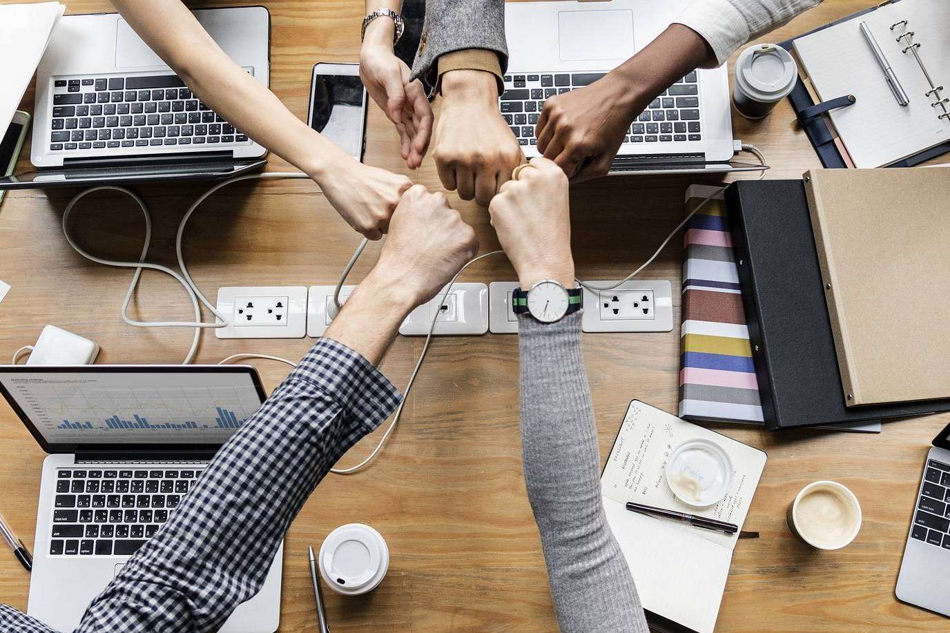 ¿De qué manera puede el SEO beneficiar a una empresa?, según ZEWS