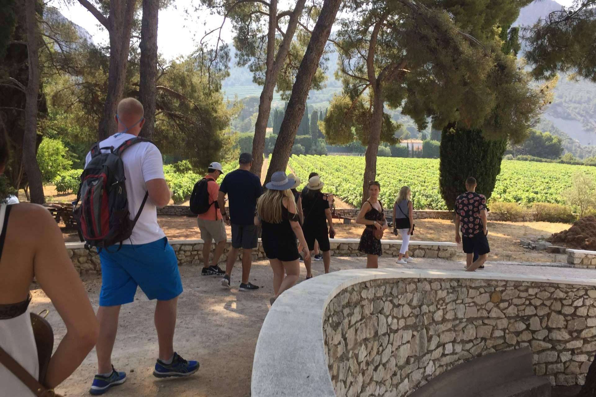 Degustación de vinos y paseo por Aix-en-Provence, Aviñón y Cassis de la mano de Planetazur Experiences