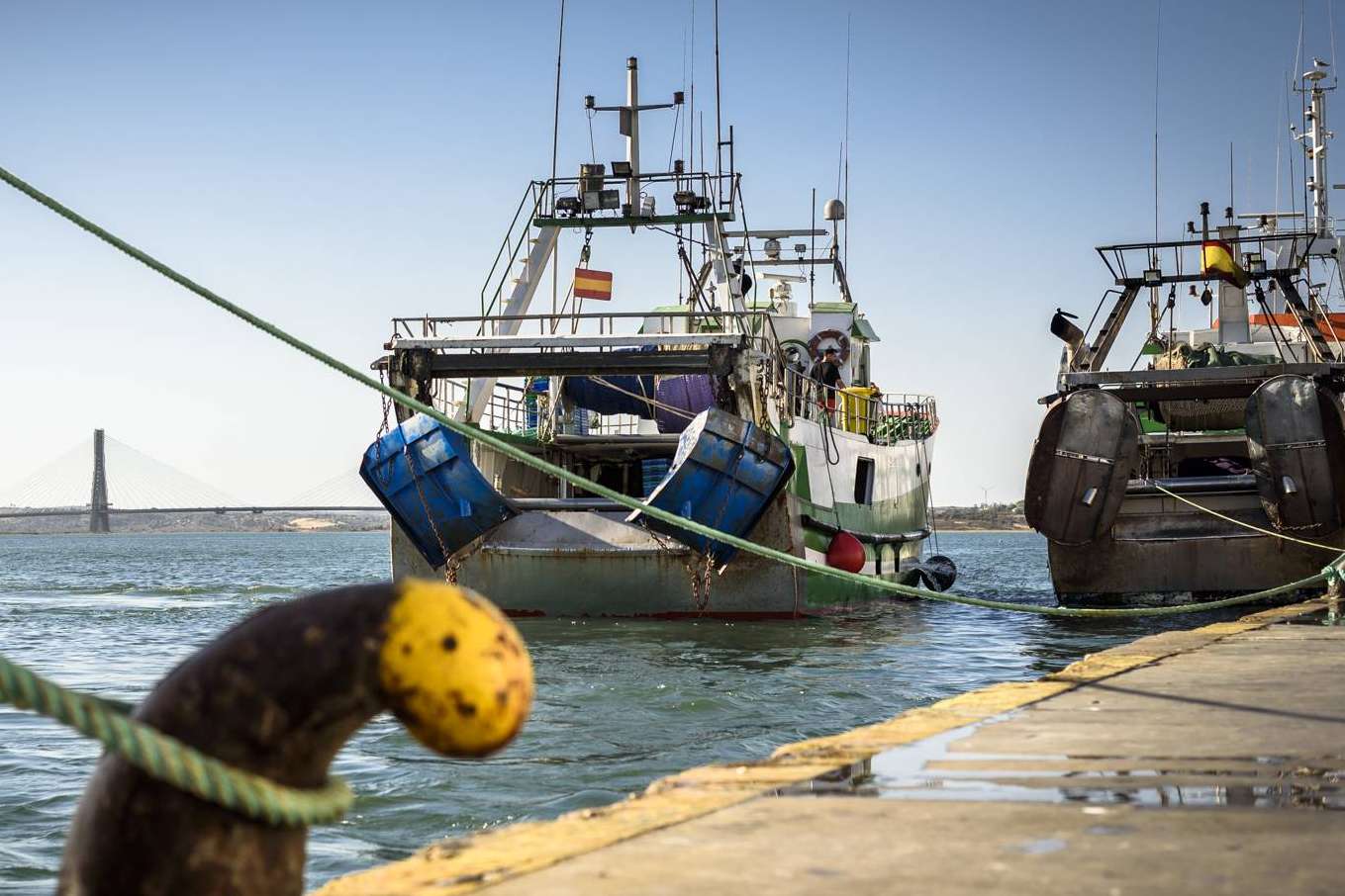 Las últimas novedades del pescado de lonja de Lonja de Ayamonte