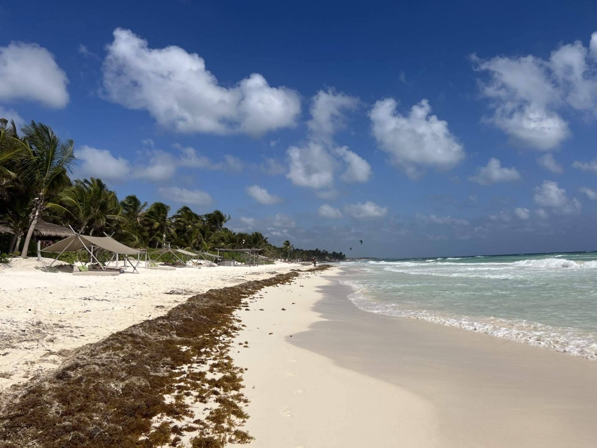 Información importante a la hora de viajar a Tulum, por El Blog de Celeste