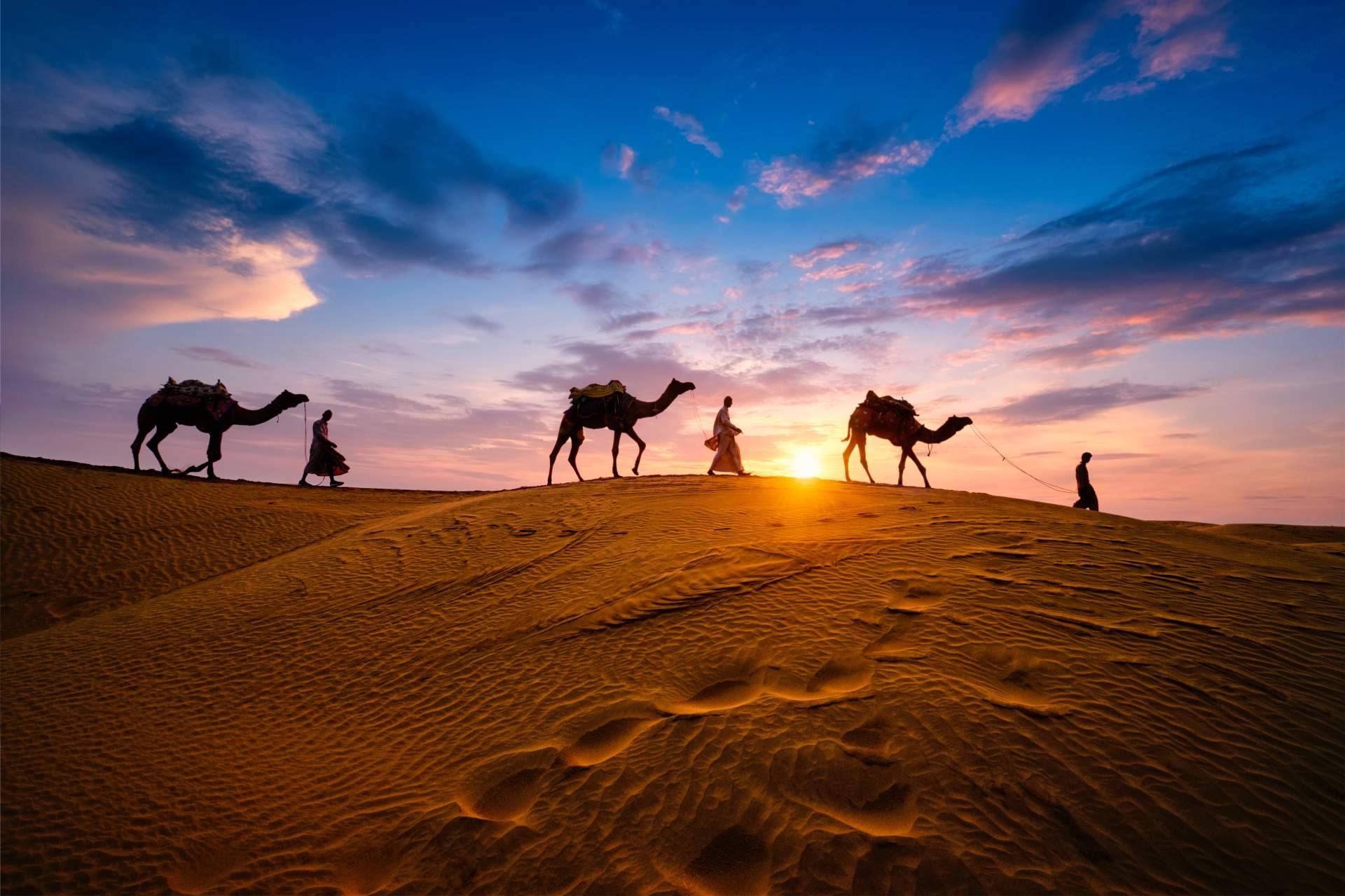 Excursiones en camello a las dunas de Erg Chebbi, de la mano de Camel Trekking Tours