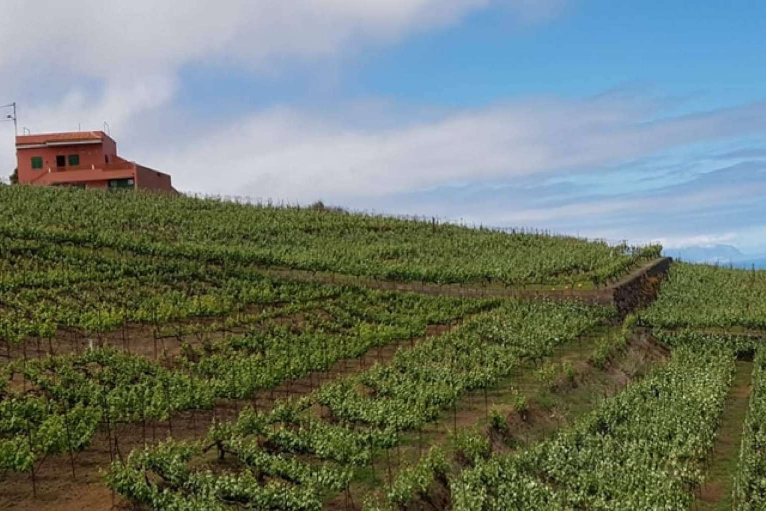 La agencia de viajes que organiza el tour de La Ruta del Guachinche en Tenerife, Gloma Travel