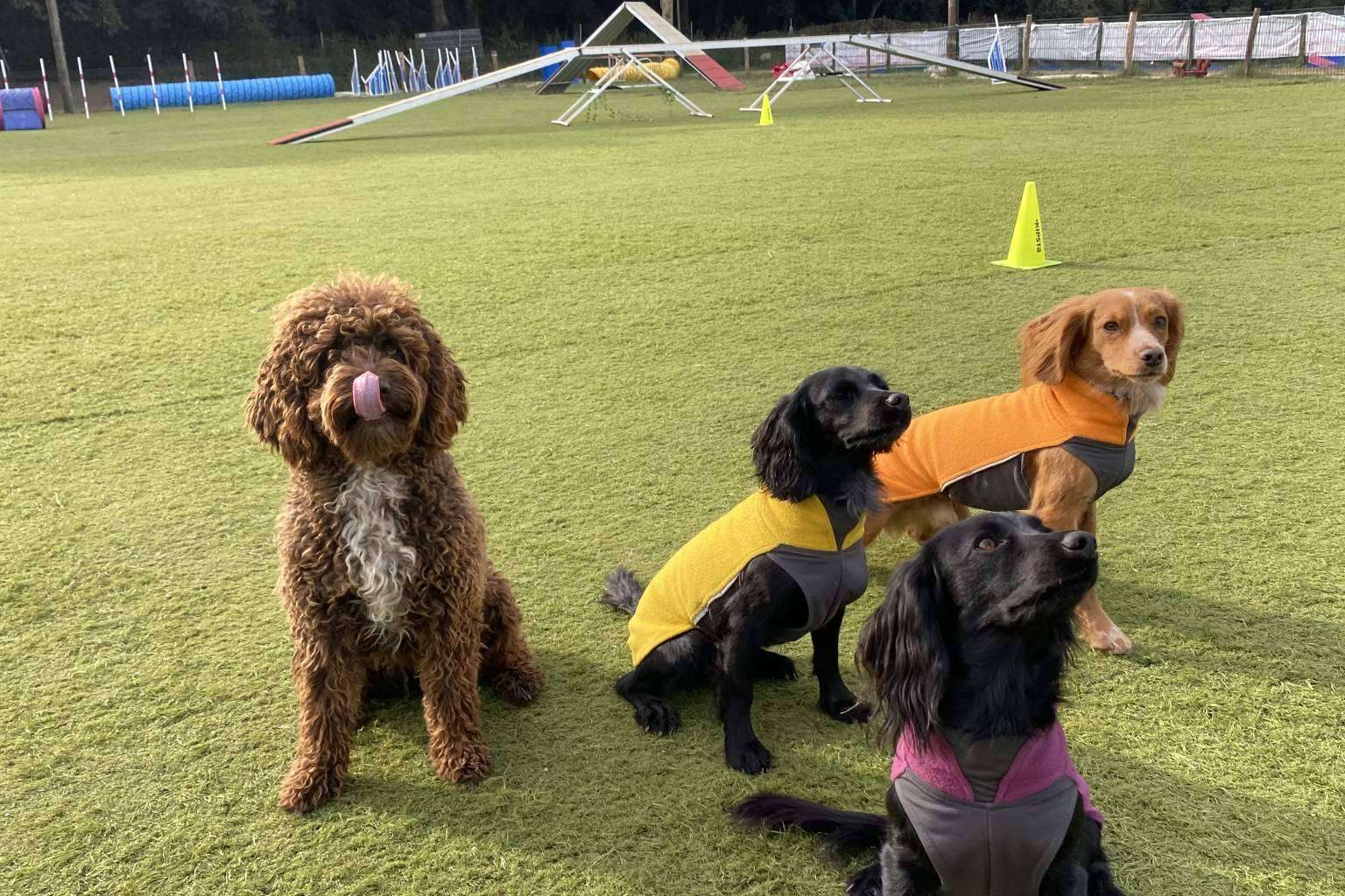 El nuevo curso de educación canina de los sábados de l'Almozara Can Bosc arrancó el pasado 11 de marzo