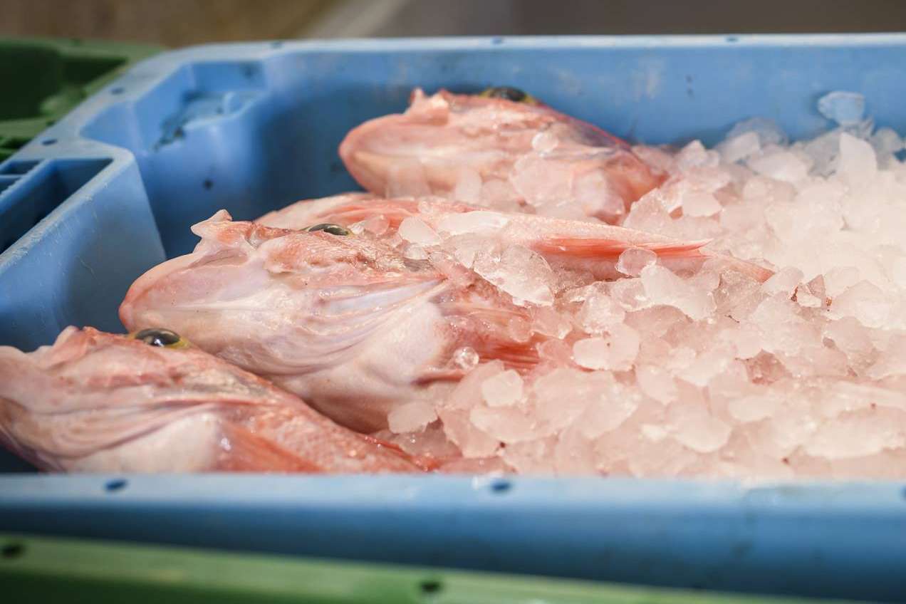 Lonja de Ayamonte se dedica a la venta de pescados y mariscos frescos