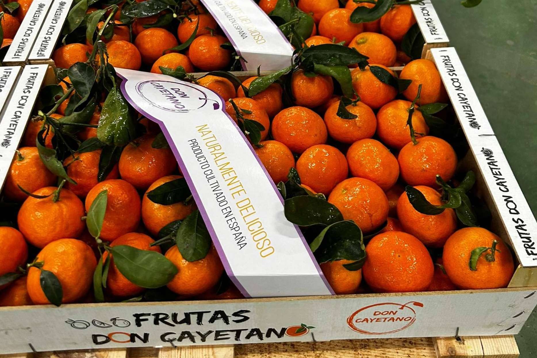 Se acerca la campaña de fruta de hueso con Frutas Don Cayetano