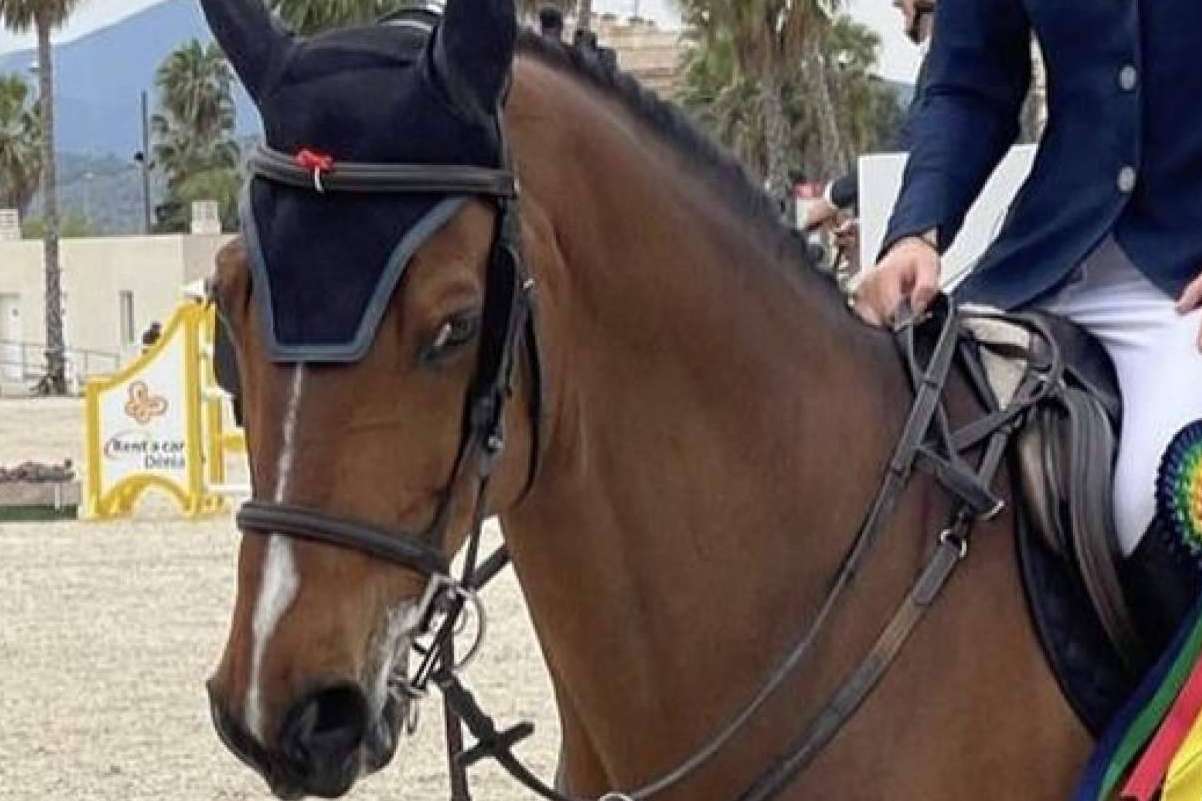 Cuáles son las características especiales de la Copa Comunidad de Madrid de salto de obstáculos