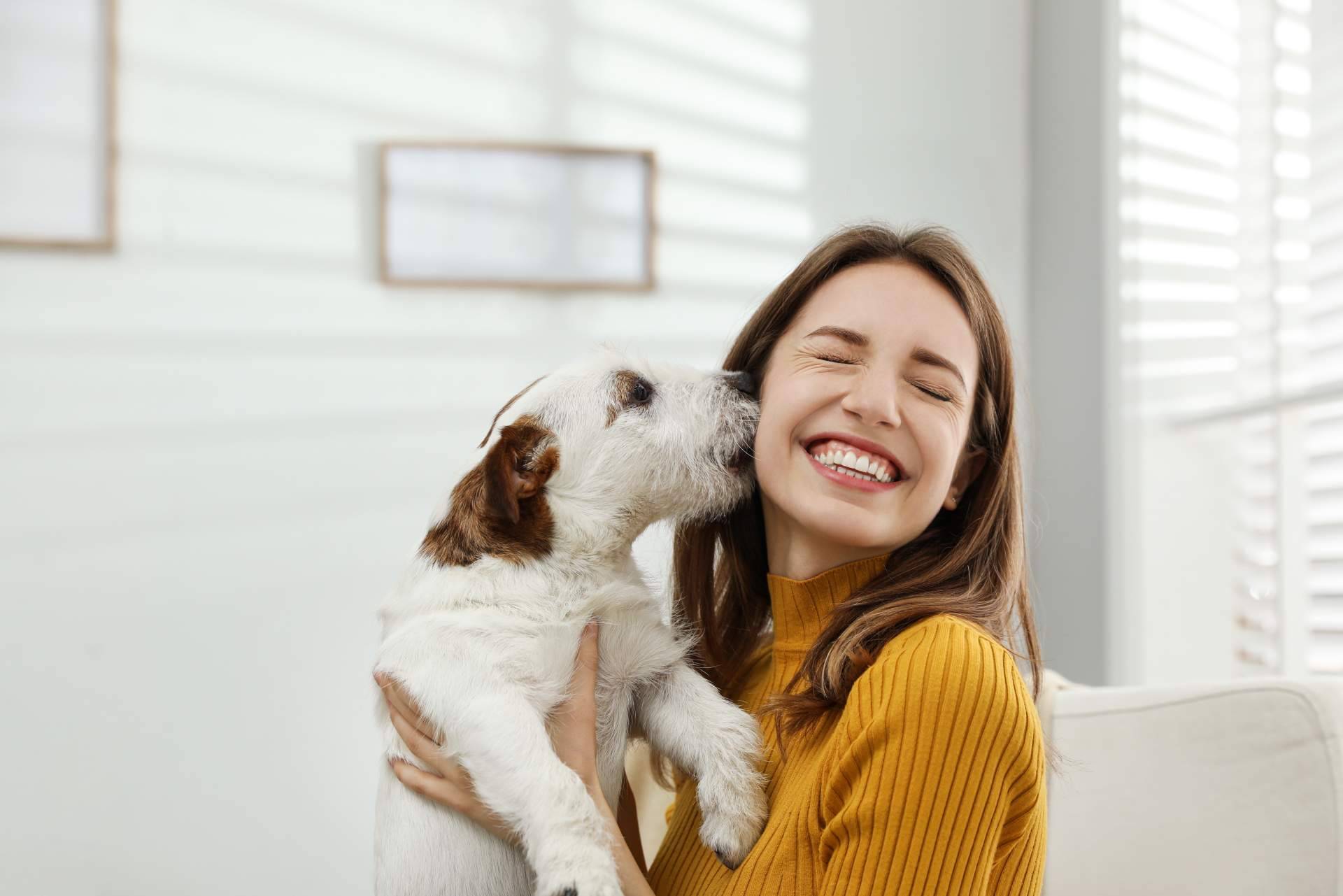 ¿Qué dice la nueva Ley de Bienestar Animal acerca de las mascotas?