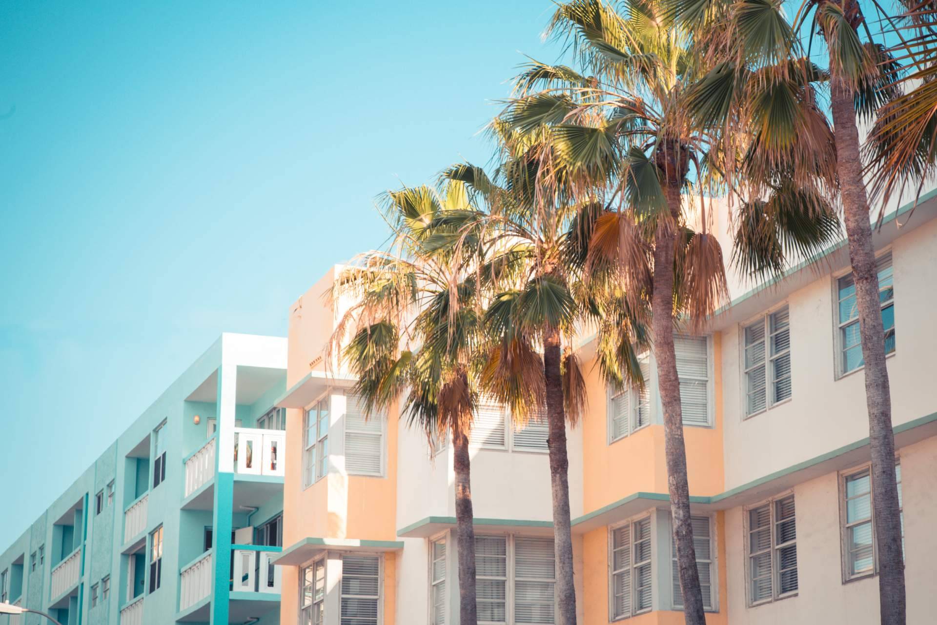 Por qué y dónde alquilar casas en Miami, con UTG Miami