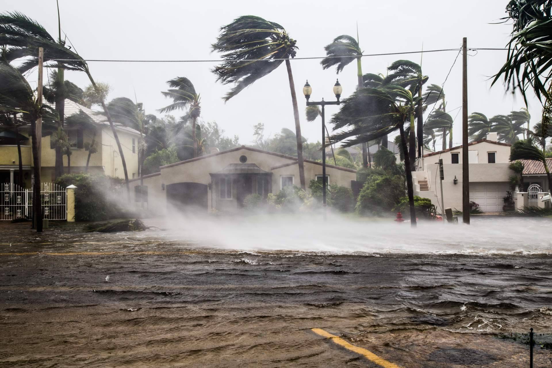 Noticias Ambientales explica qué es El Niño y por qué los expertos están hablando de él