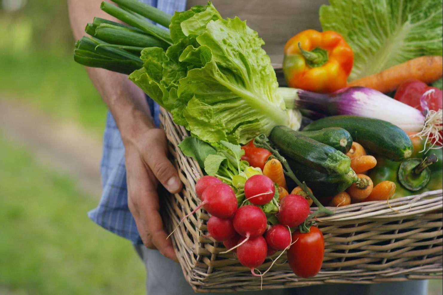 Disminución del consumo de alimentos ecológicos