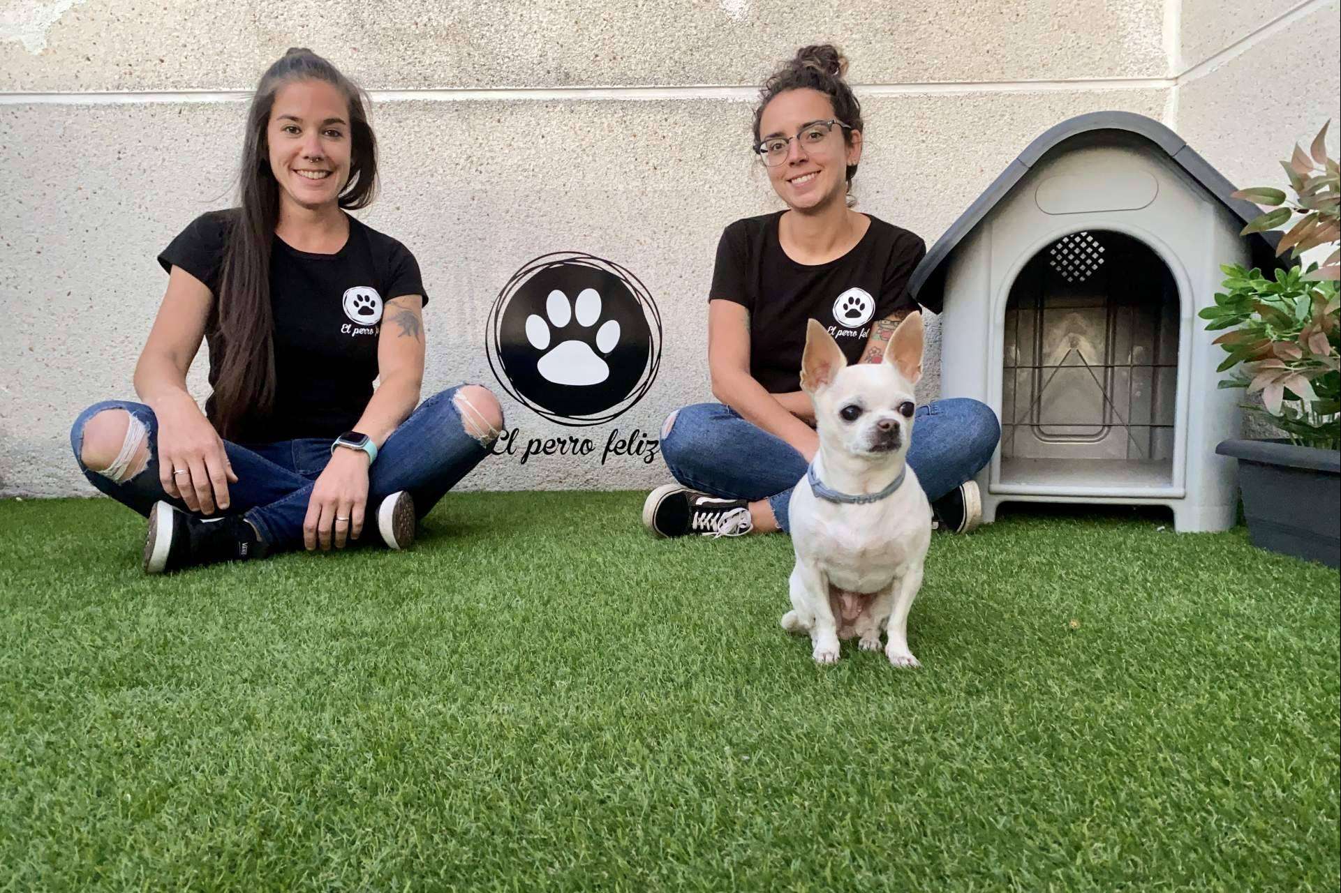 ¿Cuál es valor diferencial de los servicios de El Perro Feliz Madrid Centro?