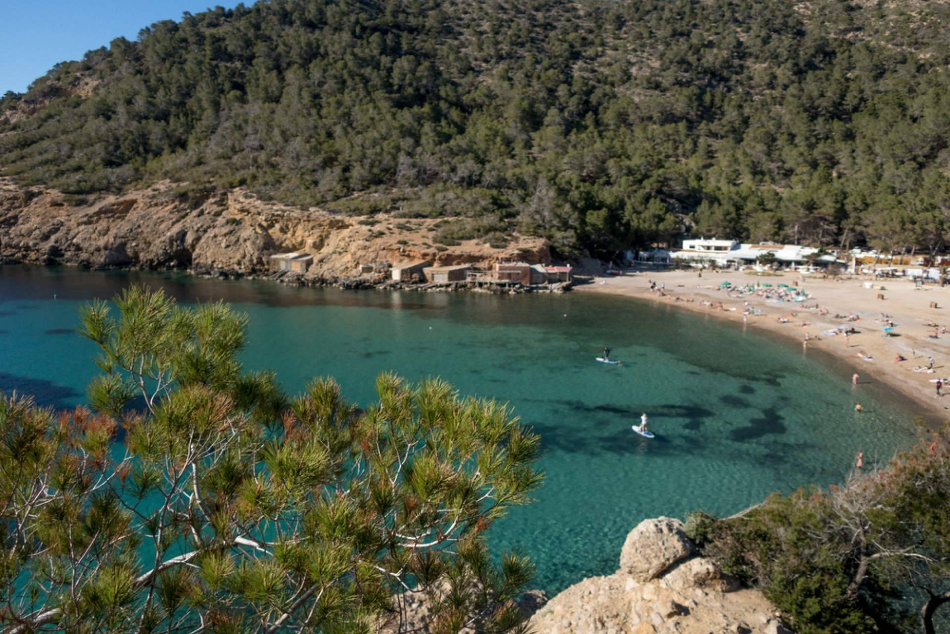 ¿Cómo moverse por Ibiza durante la estancia en la isla?, con Alpha VIP Transfer