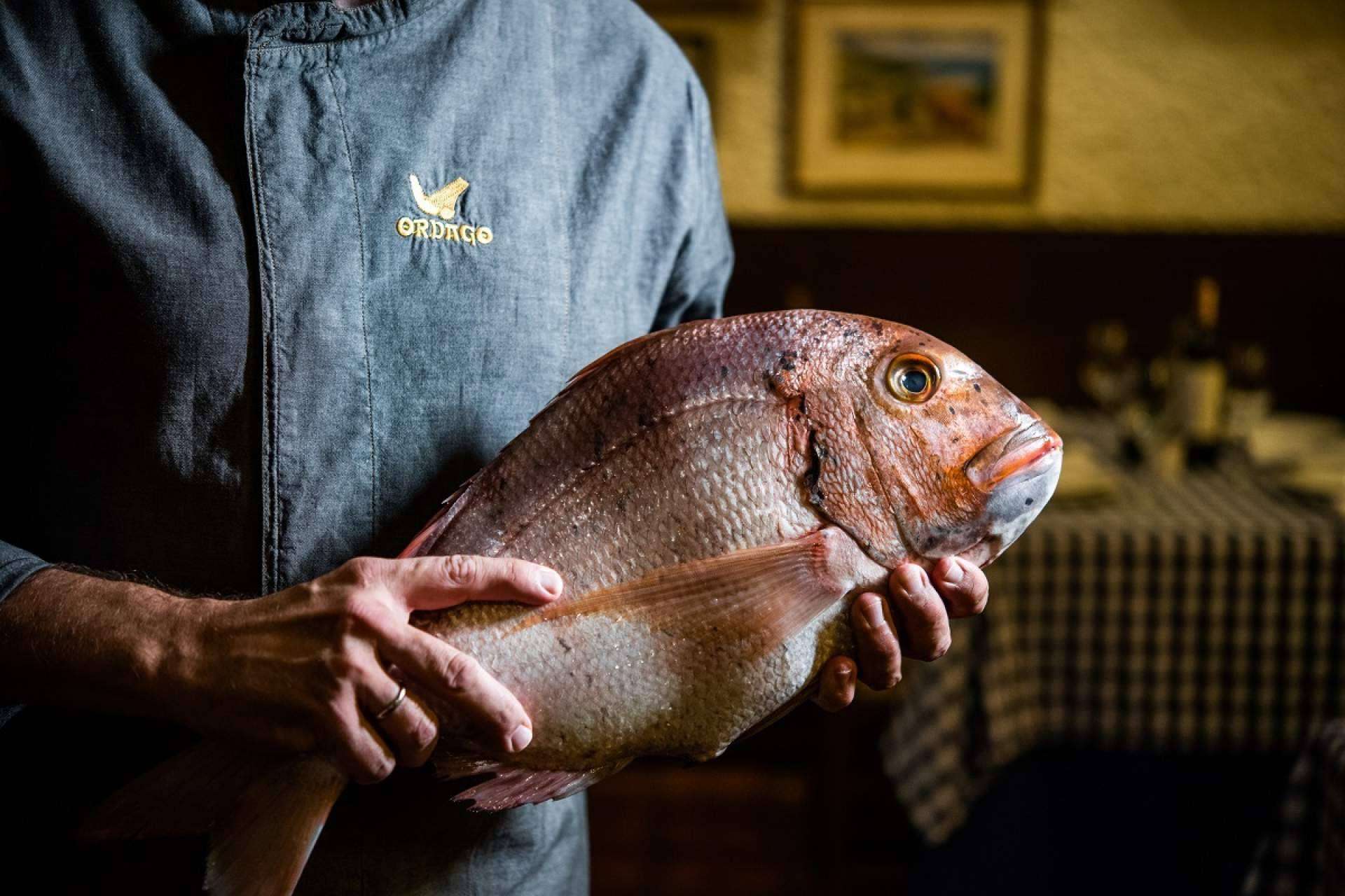 Restaurante Órdago, la esencia de la gastronomía vasca en el centro de Madrid