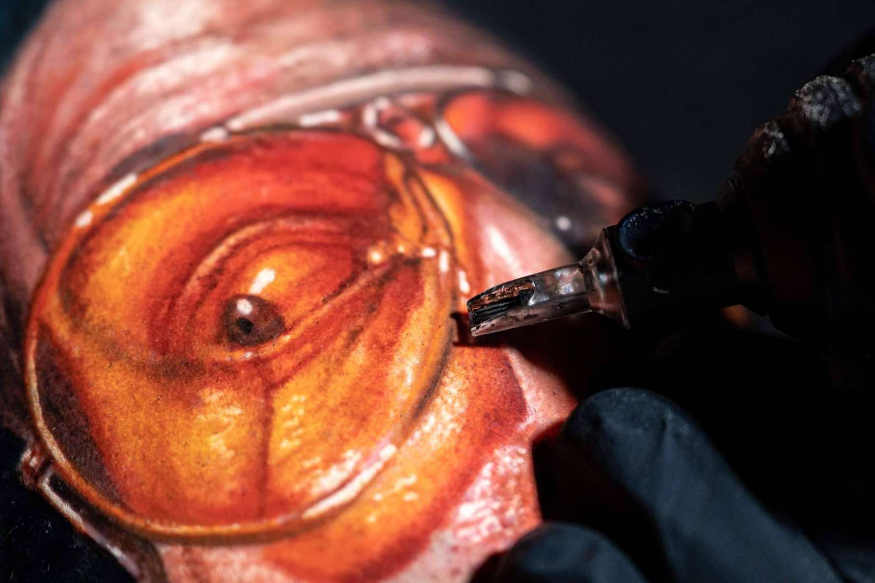 La plataforma Habbility y sus cursos de tatuaje realista a color