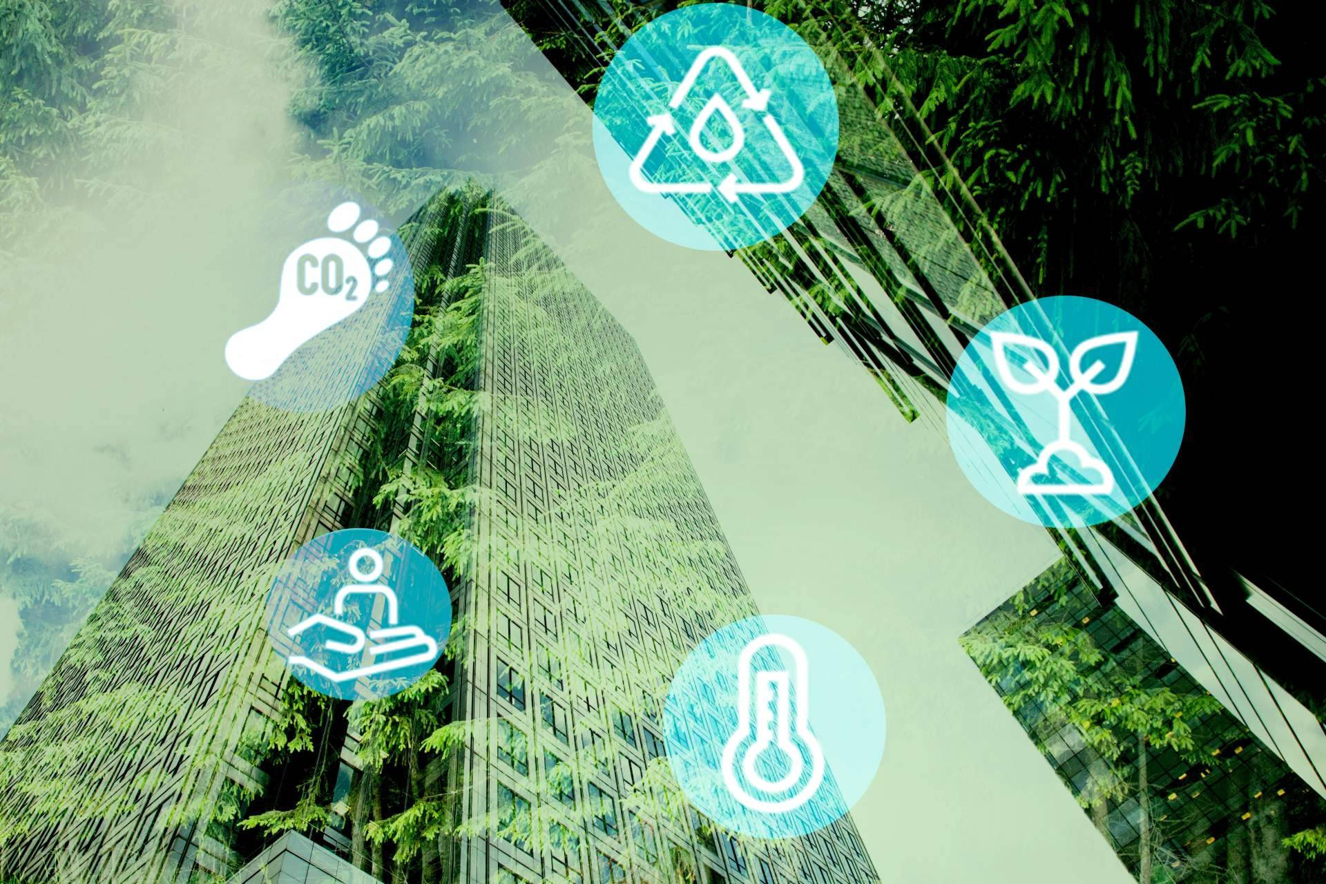 Consultoría especializada en calidad, medioambiente y Responsabilidad Social Corporativa, Asernorma