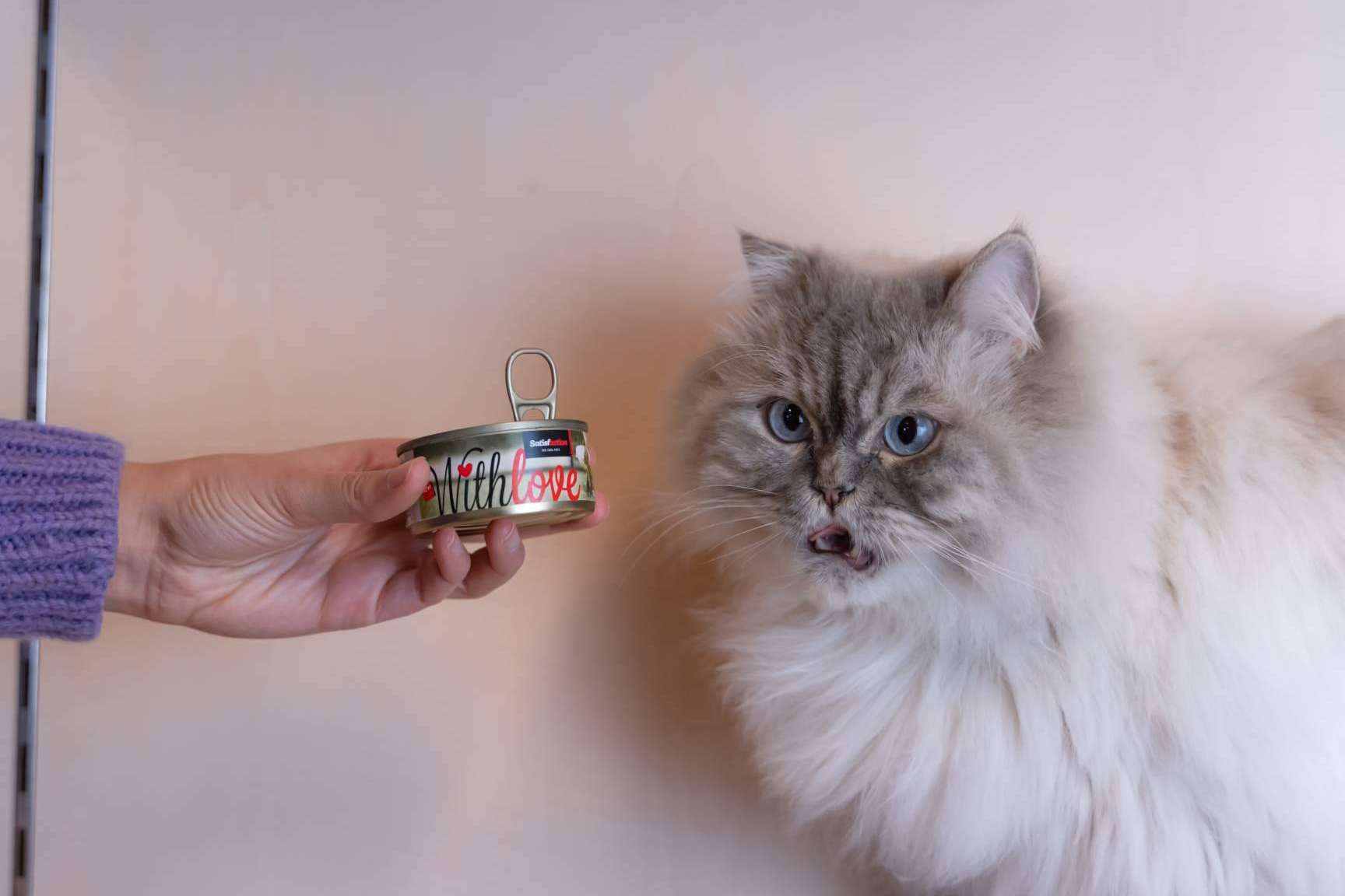 Satisfaction presenta With Love, la nueva gama de comida húmeda para perros y gatos
