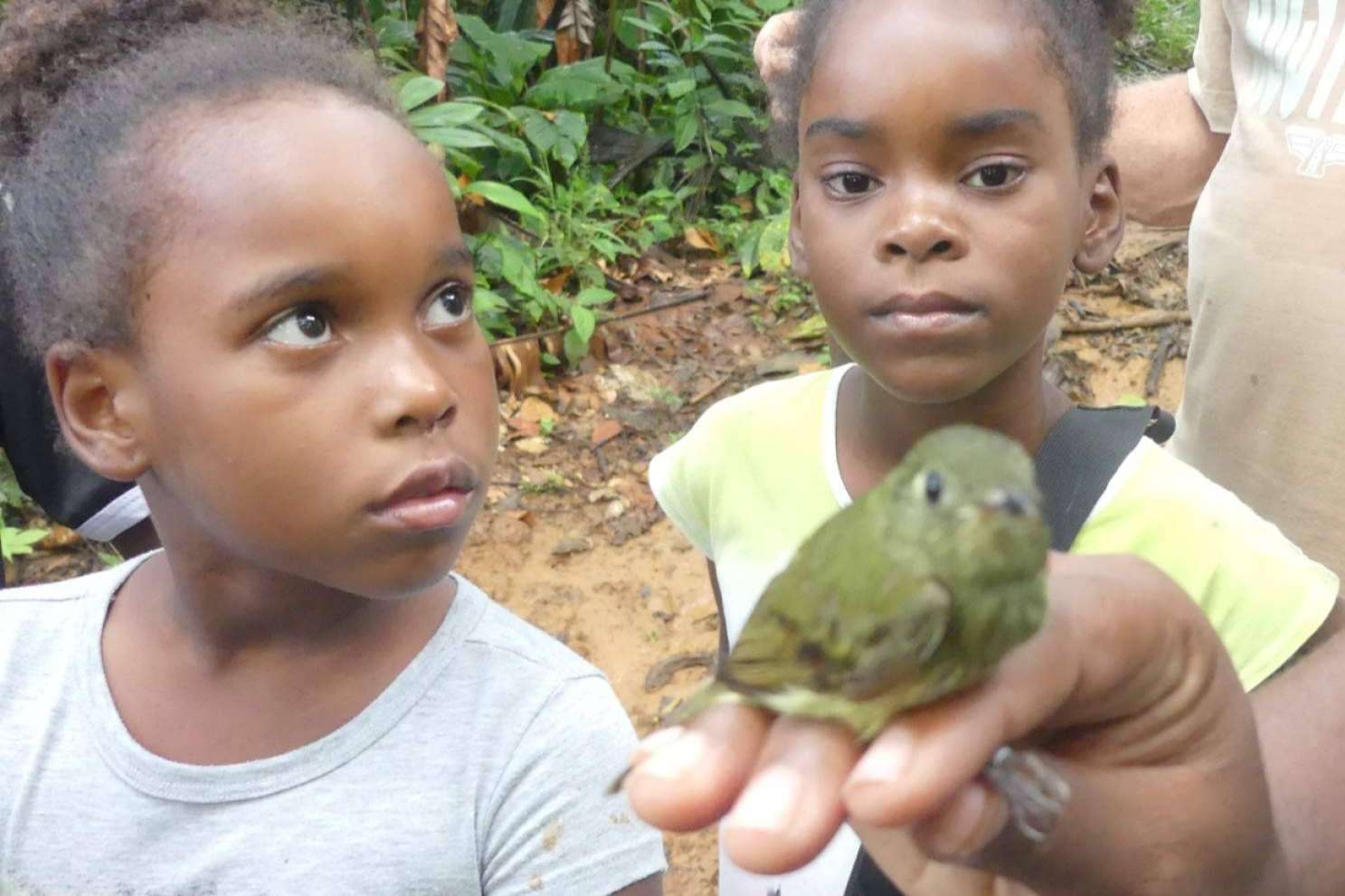¿Cómo vivir voluntariados ambientales internacionales? ONGVoluntariado