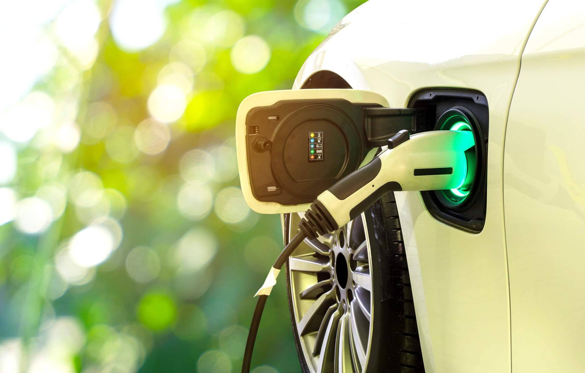 Multienergía Verde ofrece una plataforma para conectar a sus clientes con sus placas solares y puntos de carga de vehículo eléctrico