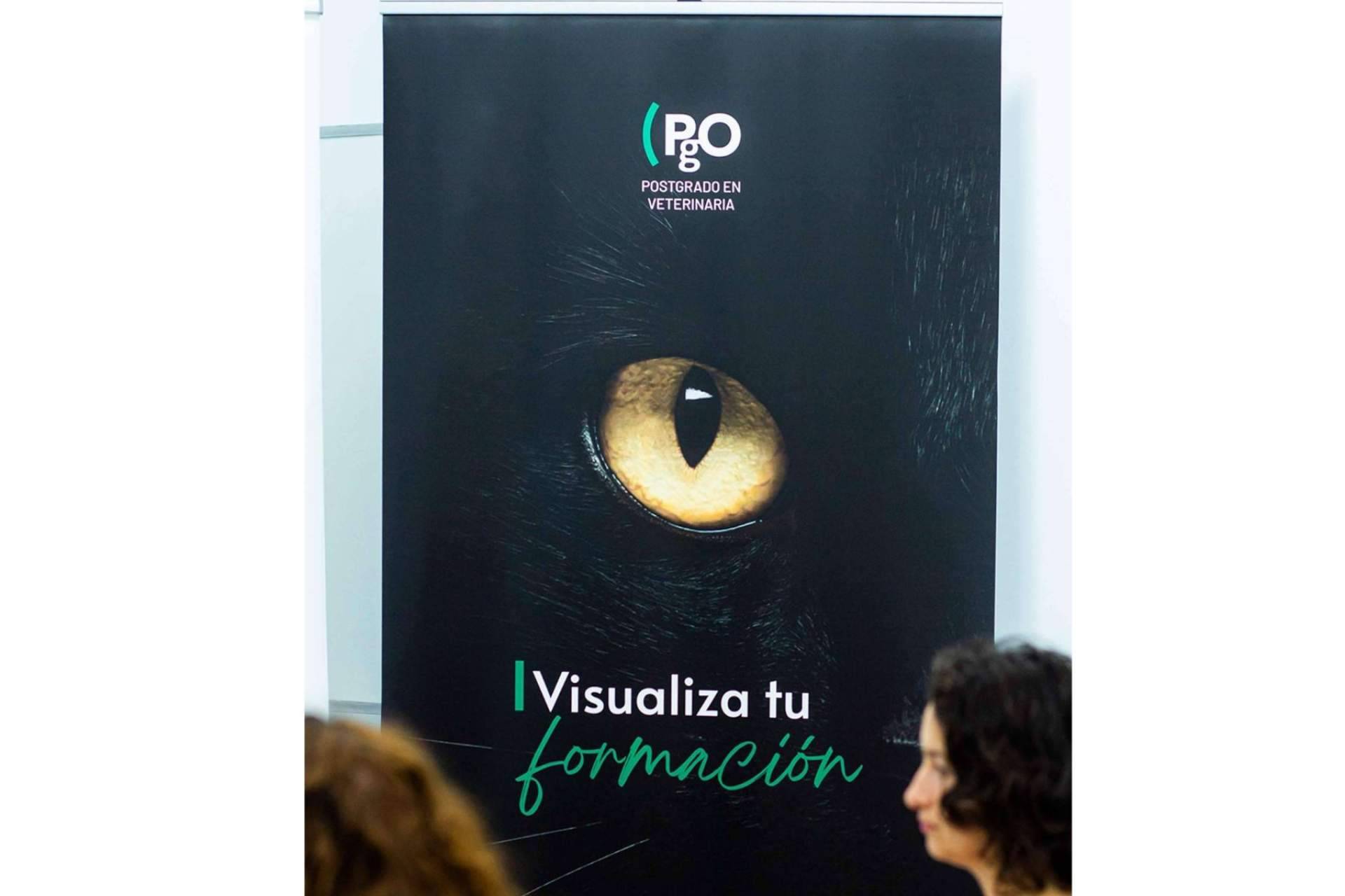 Formación de postgrado de calidad, de la mano de PgO Veterinaria