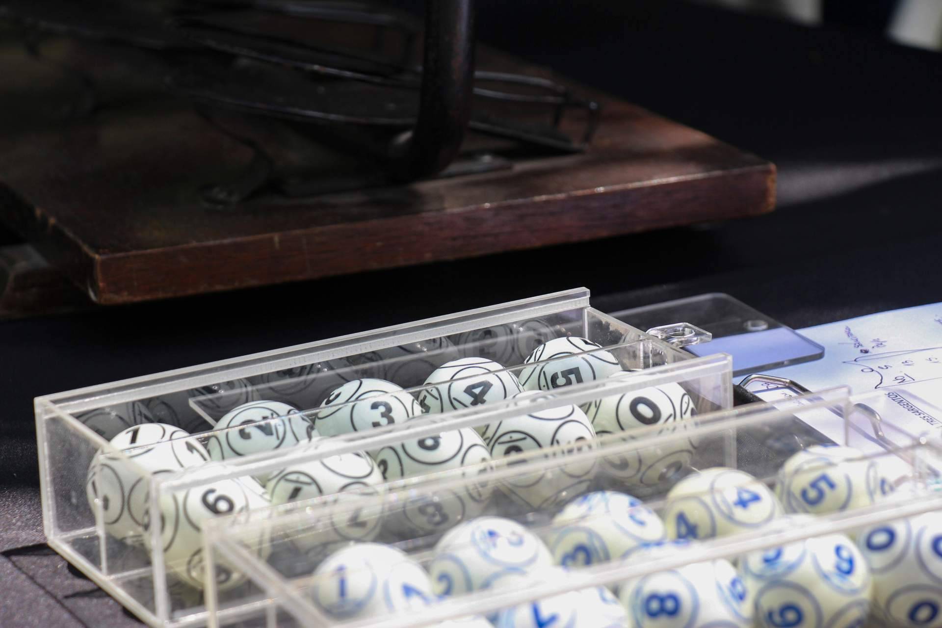 Bingo Experience, ocio y diversión a precio económico