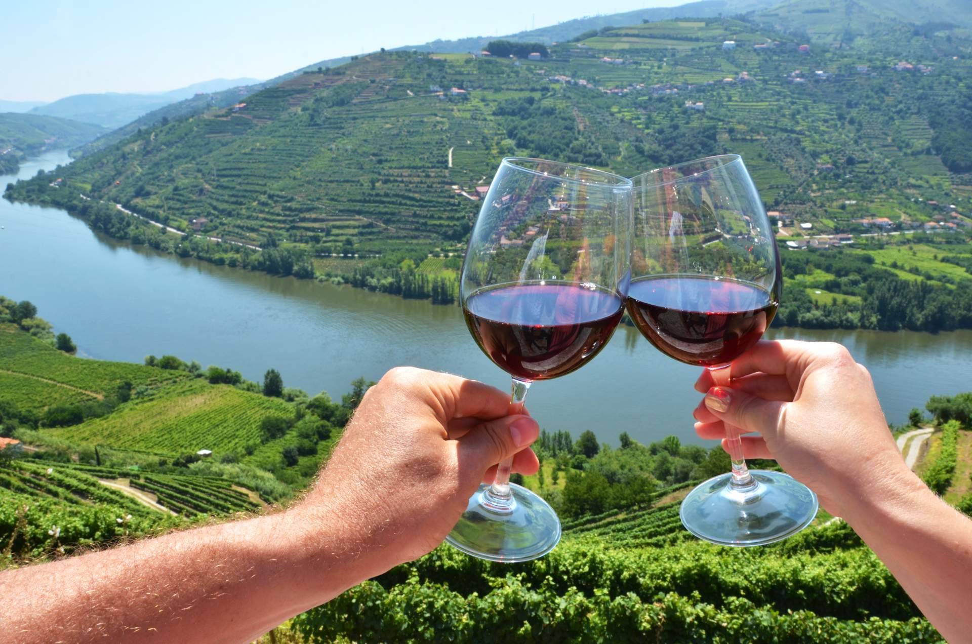 Los vinos tintos del Valle del Duero, una experiencia sensorial que transporta a la esencia de la excelencia enológica