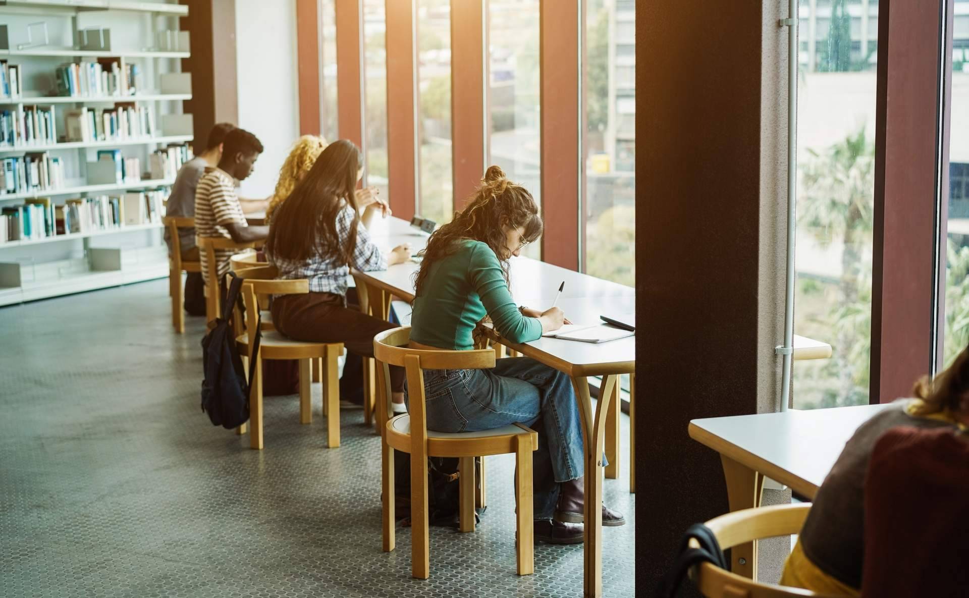 Asesoría para estudiantes de Navarra en la elaboración de su TFG con Ayuda Universitaria